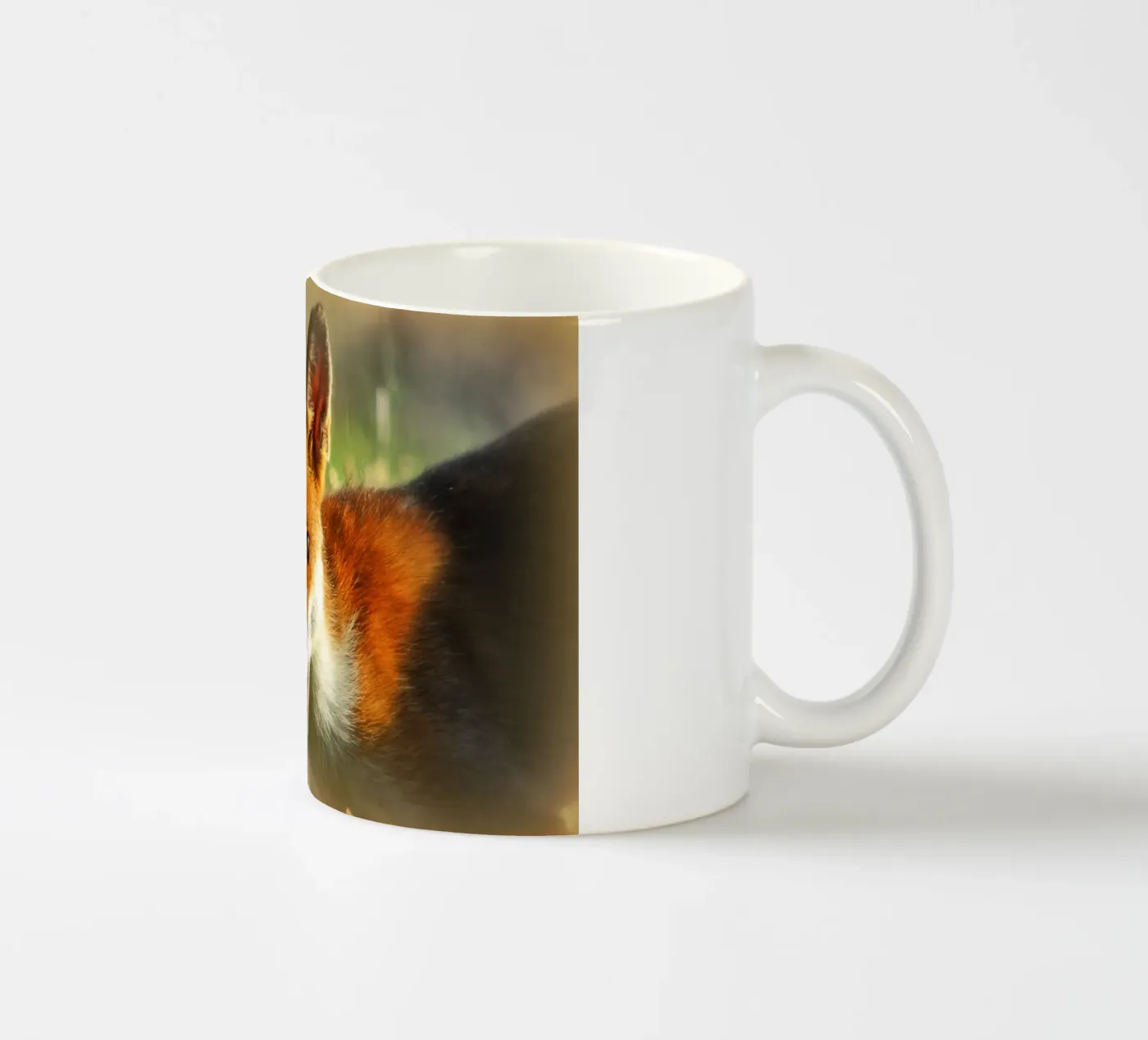 FAA208 ceramic mug by Thierry vobmann photography