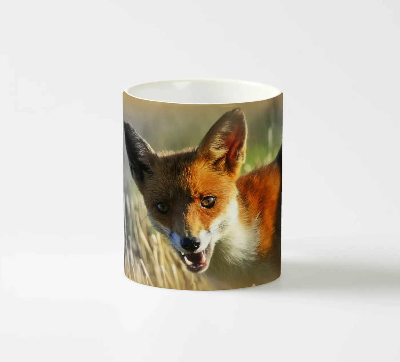 FAA208 ceramic mug by Thierry vobmann photography