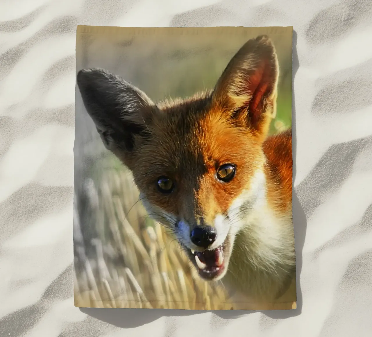 FAA208 telo mare da Thierry vobmann photography