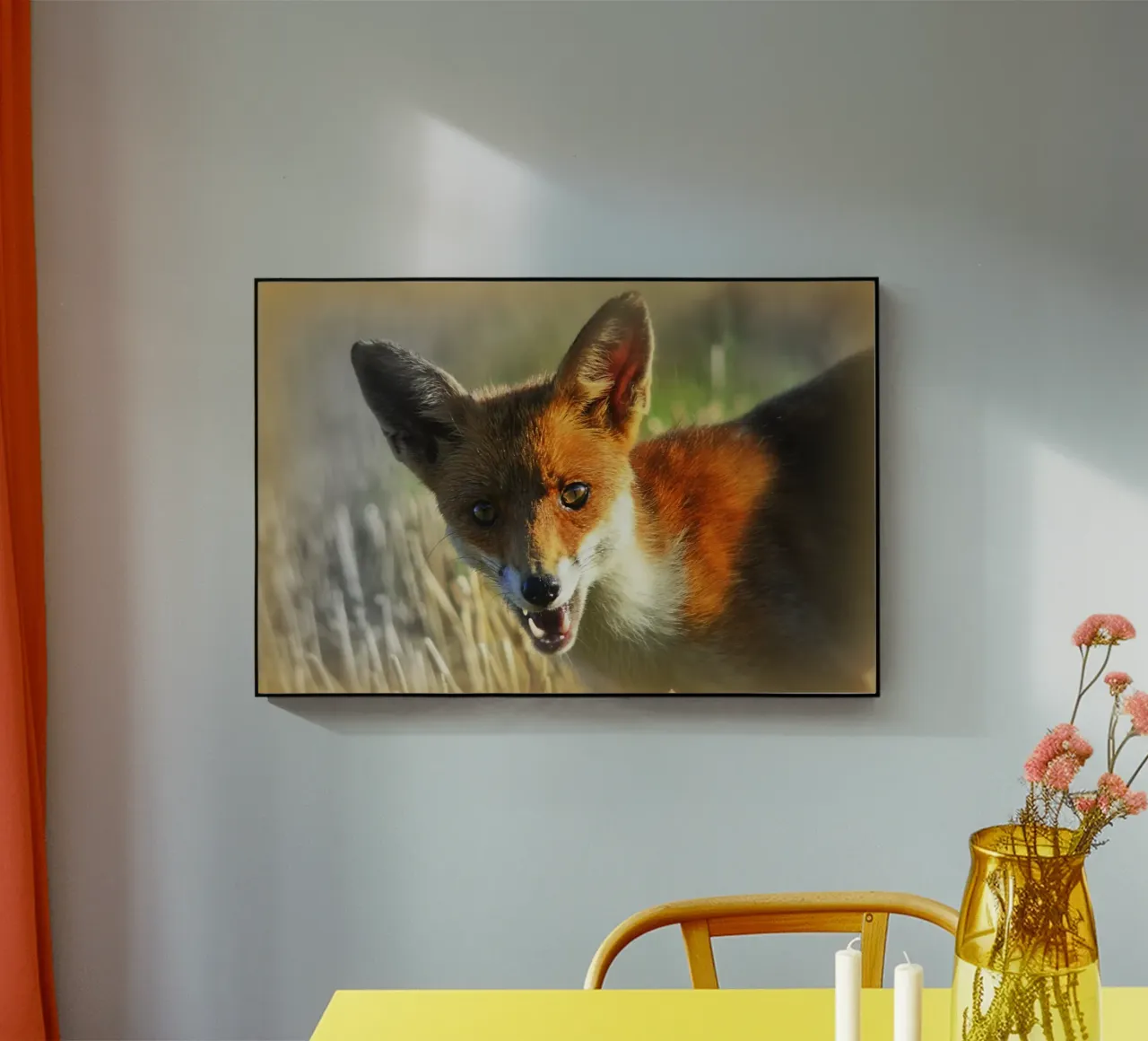 FAA208 plexiglass da Thierry vobmann photography