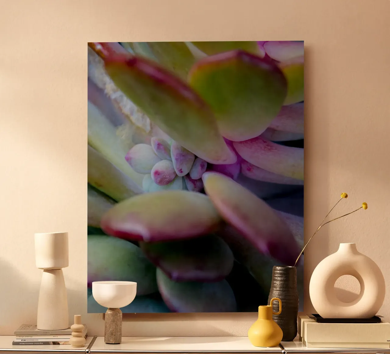 Succulent detail alu-dibond by Teresa André