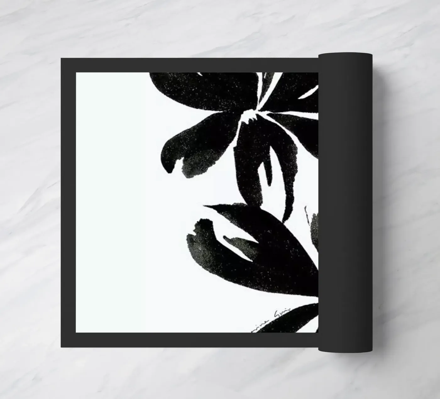 Orchid 5 zerbino da Marina Guiu