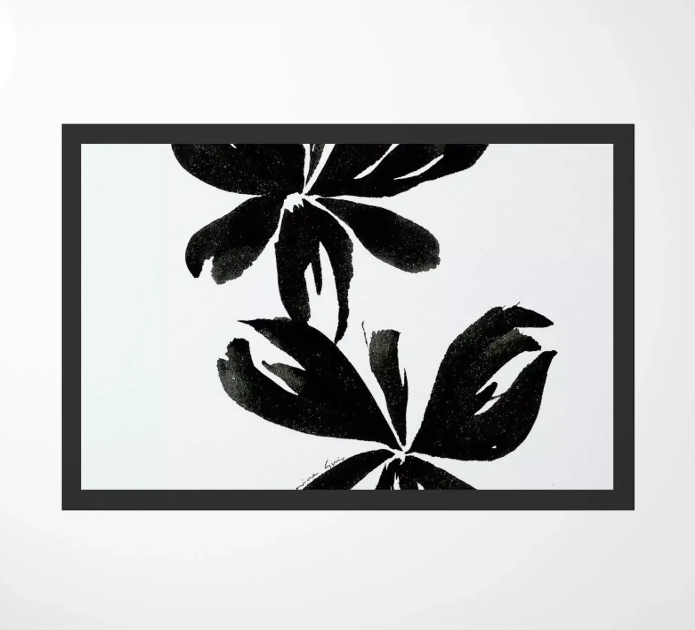 Orchid 5 zerbino da Marina Guiu