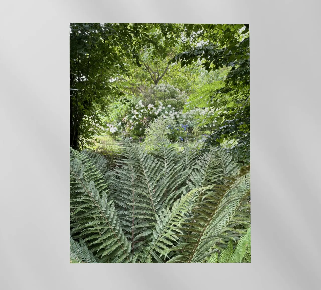 Végétations pellicola backlit da Estelle Création