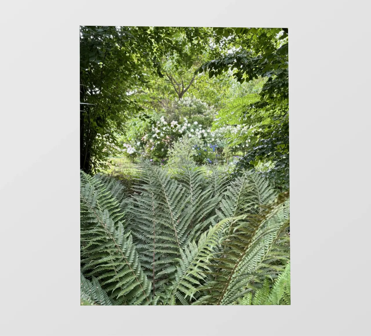 Végétations pellicola backlit da Estelle Création