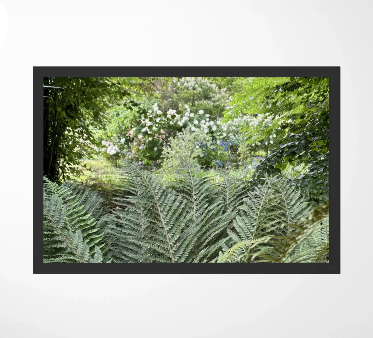 Végétations zerbino da Estelle Création