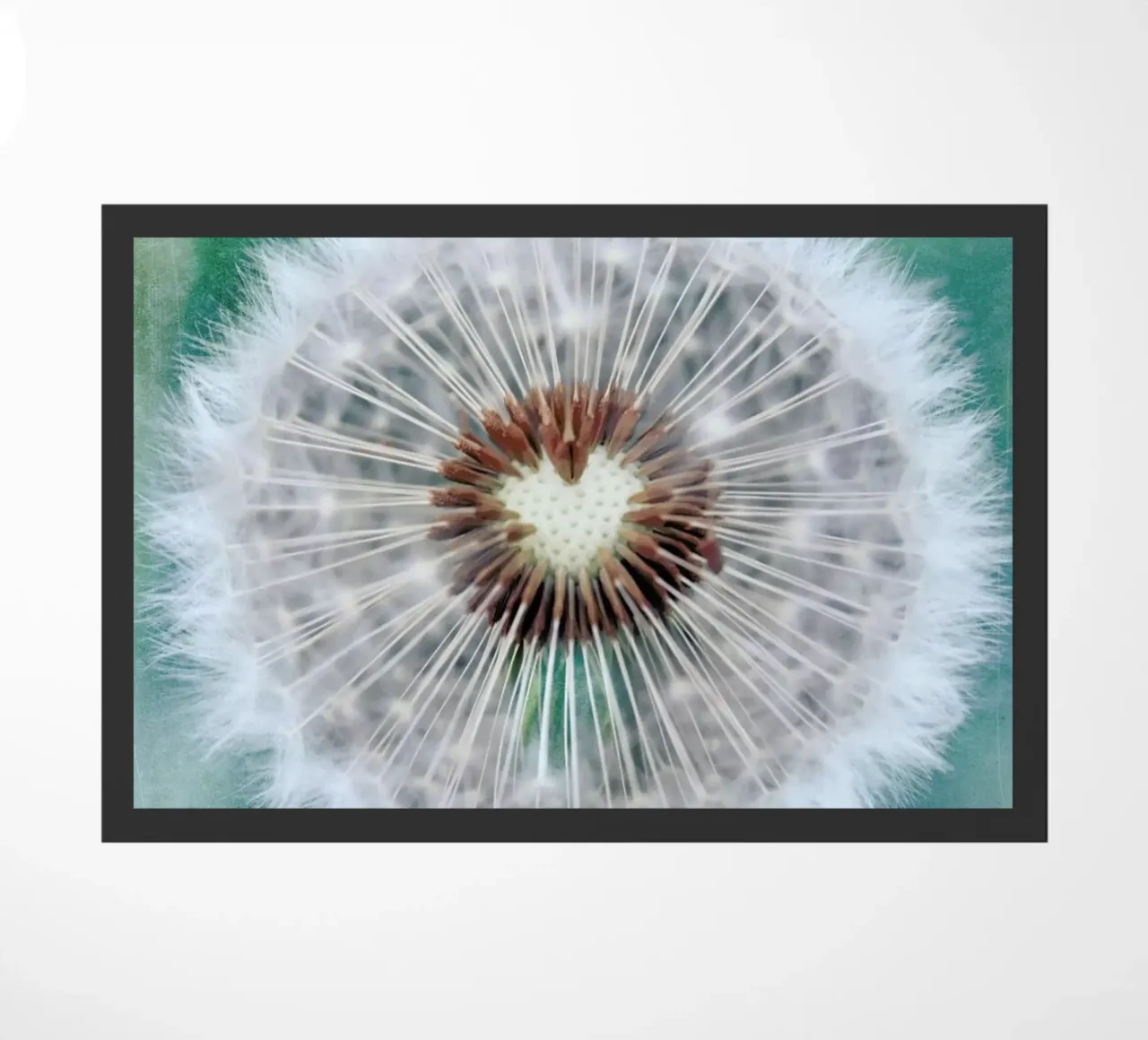 Dandy Heart zerbino da Robin Delean