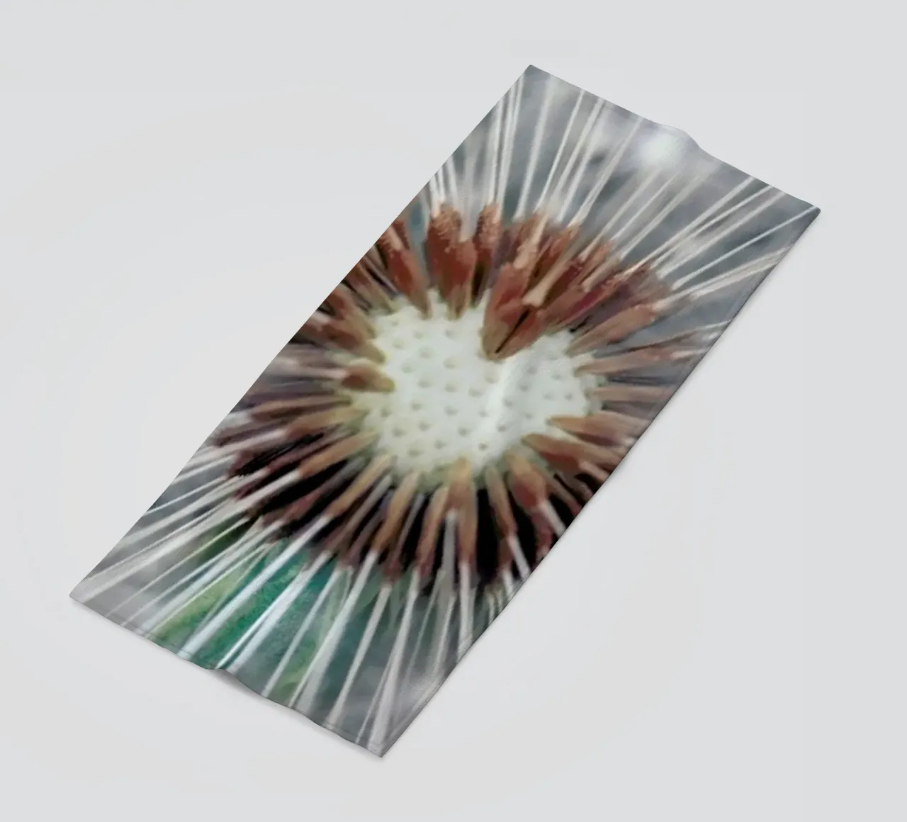 Dandy Heart telo mare da Robin Delean