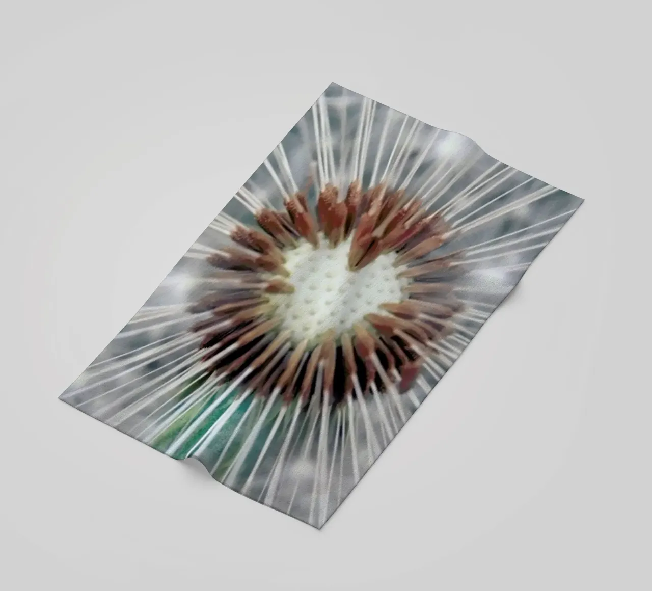 Dandy Heart telo mare da Robin Delean