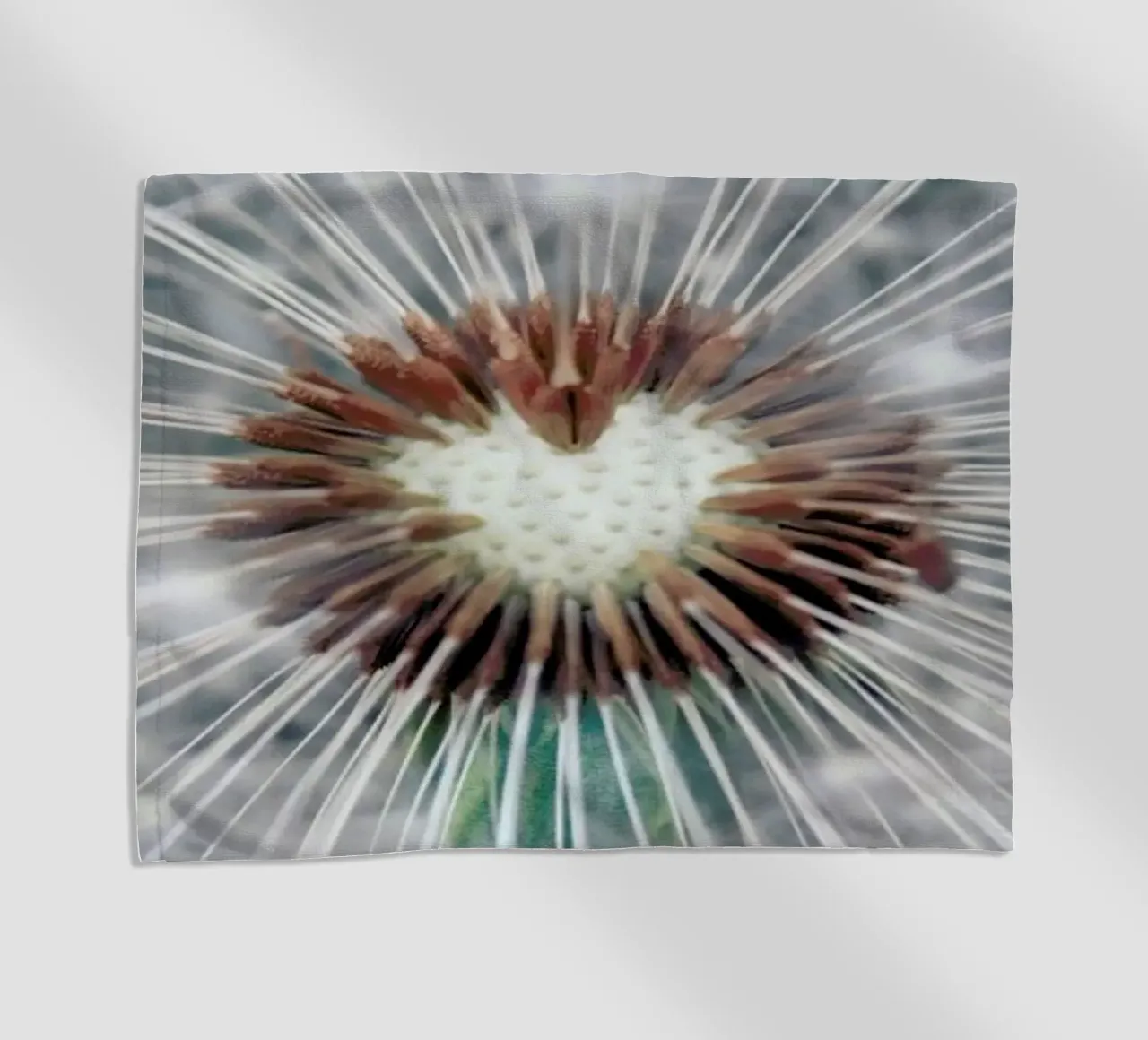 Dandy Heart telo mare da Robin Delean