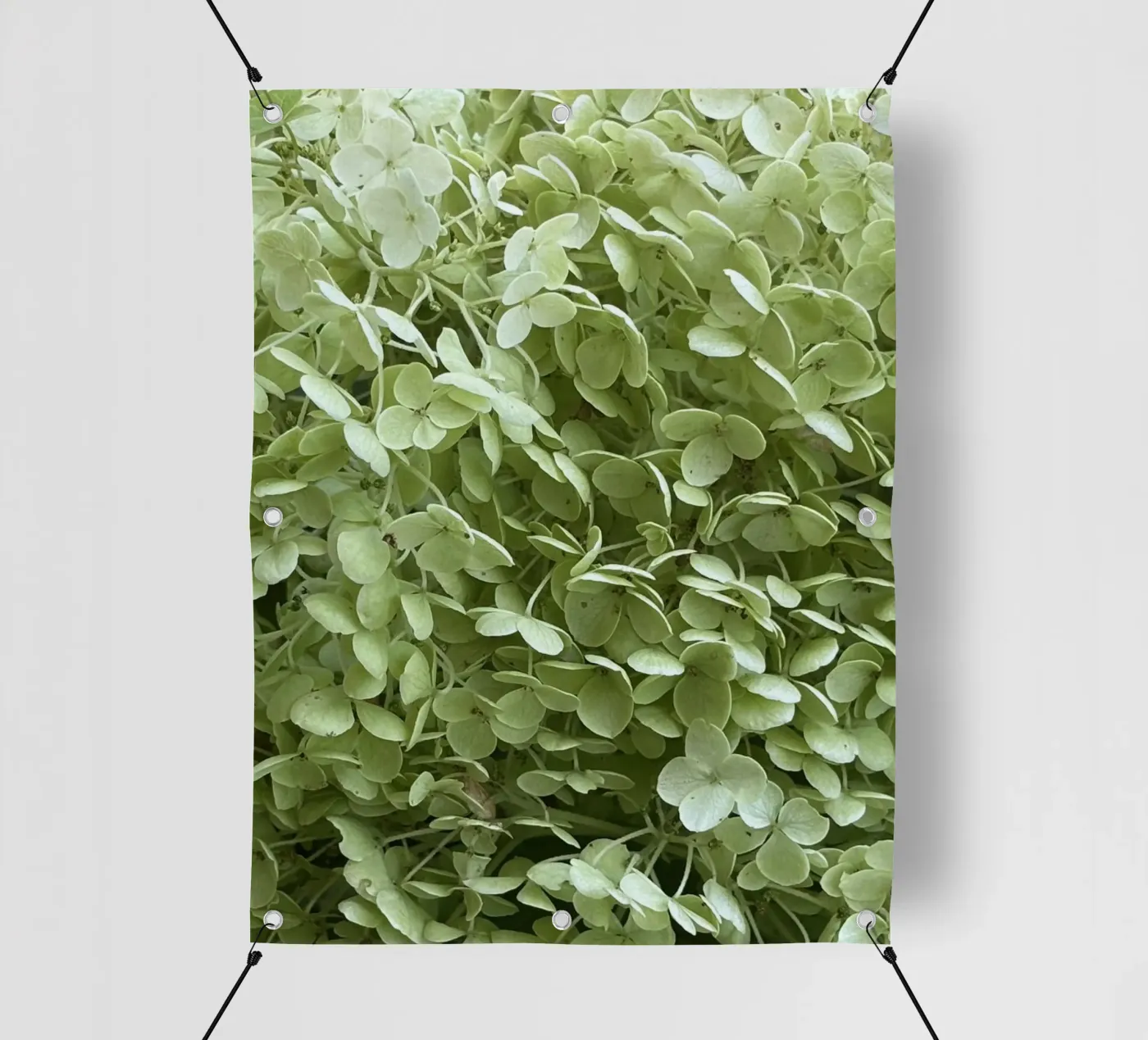 Hydrangea pvc cover by Estelle Création