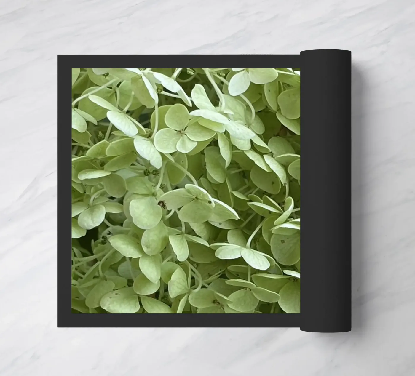 Hydrangea Fußmatte von Estelle Création