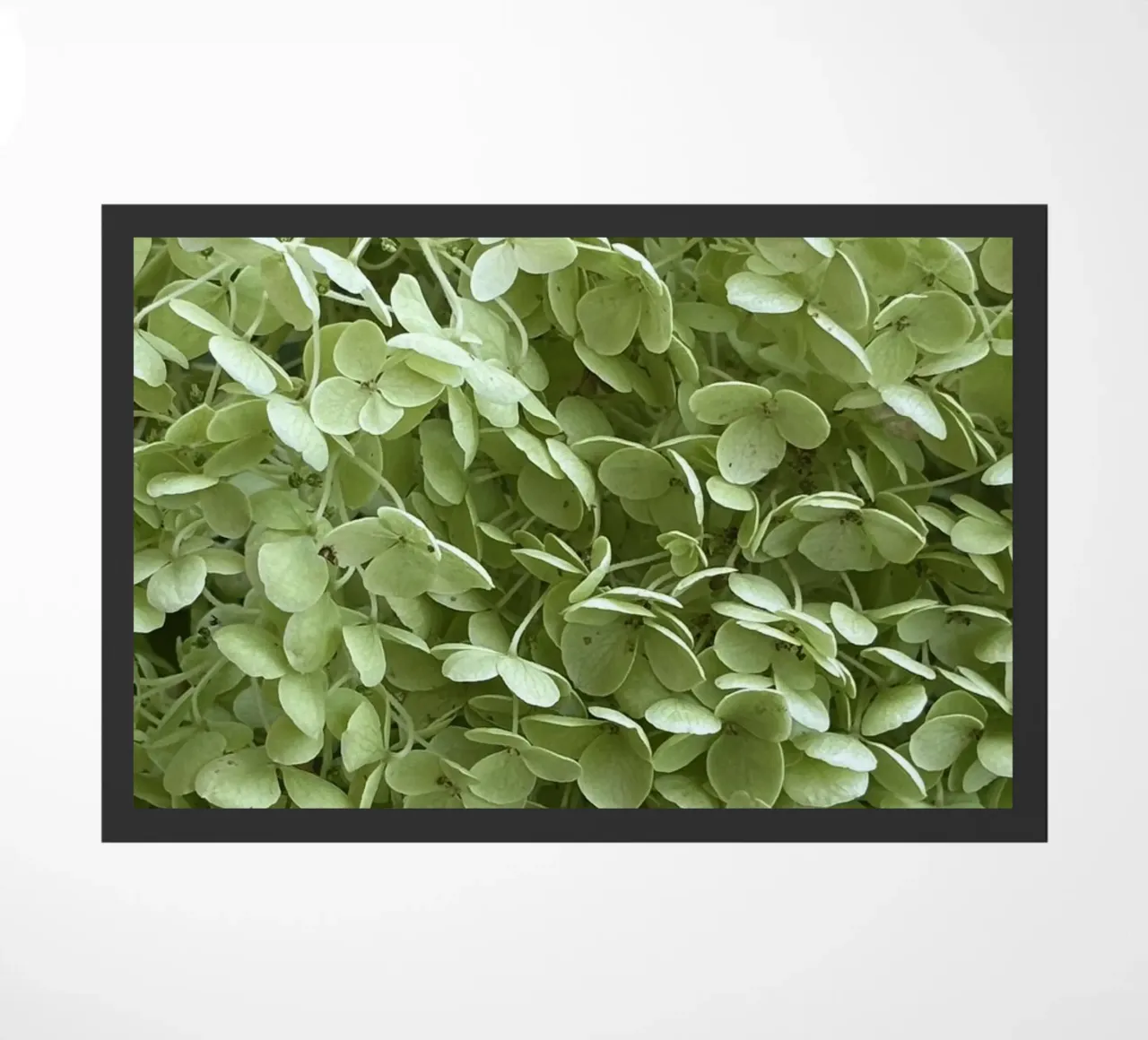 Hydrangea doormat by Estelle Création