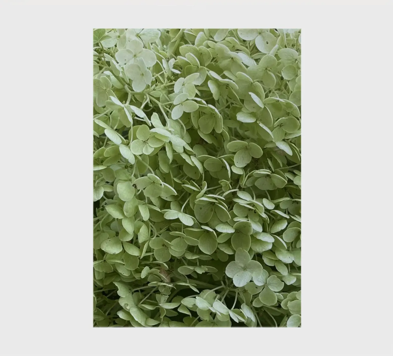 Hydrangea notebook by Estelle Création