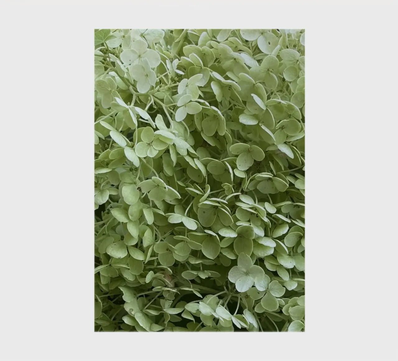 Hydrangea notebook by Estelle Création