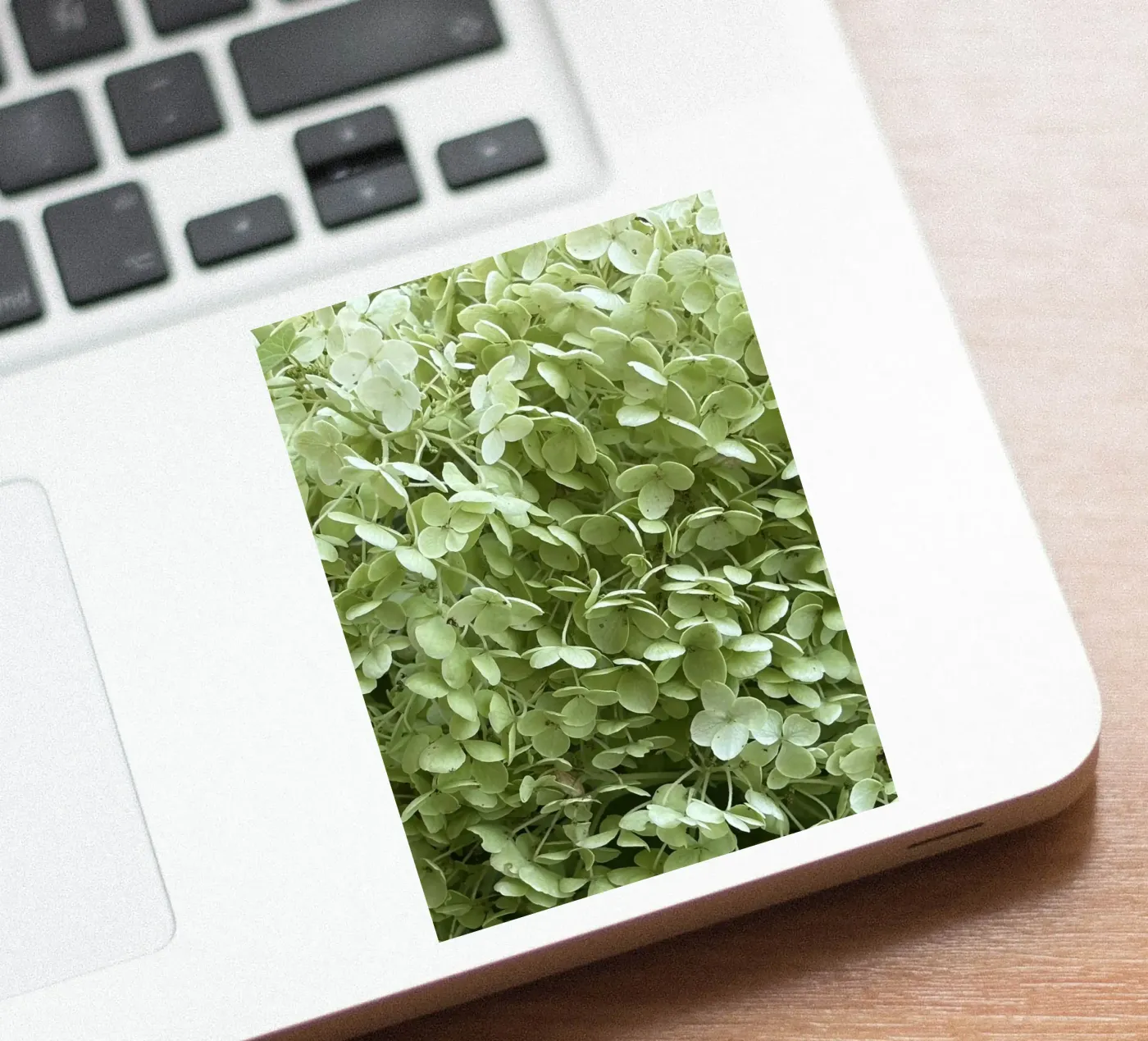 Hortensia sticker van Estelle Création