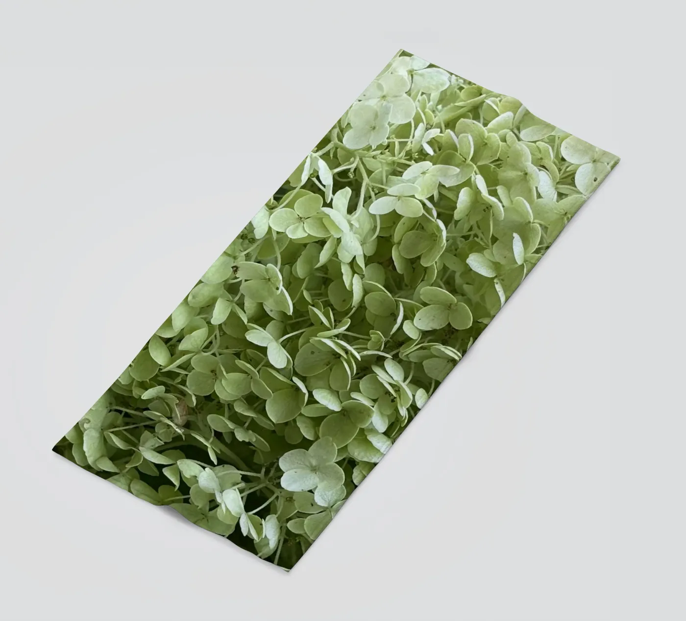 Hydrangea Strandtuch von Estelle Création