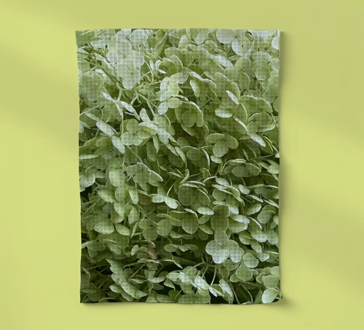 Hortensia torchon de Estelle Création