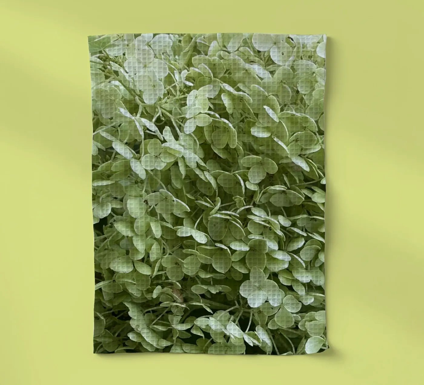 Hortensie Geschirrtuch von Estelle Création