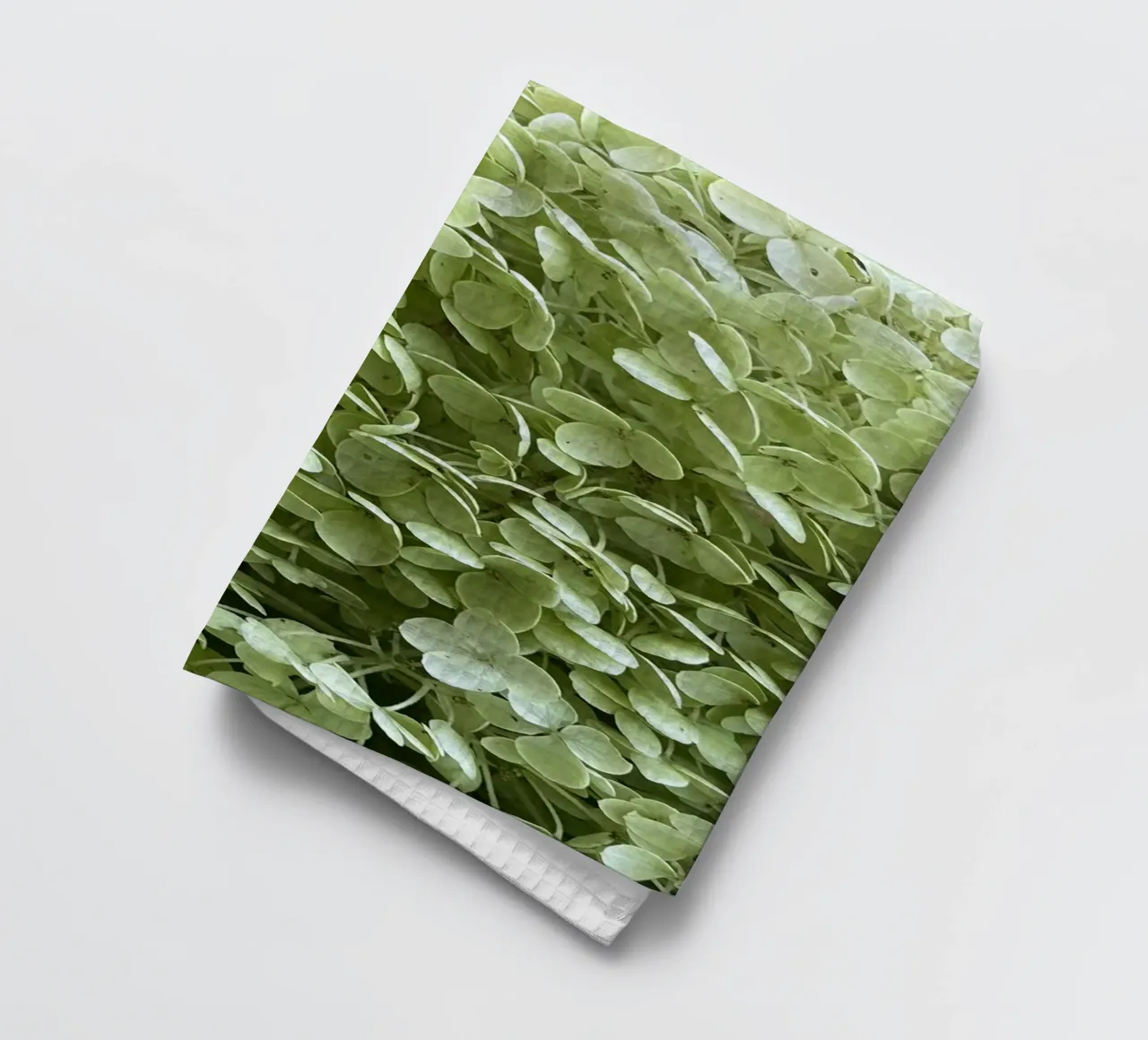 Hortensia torchon de Estelle Création