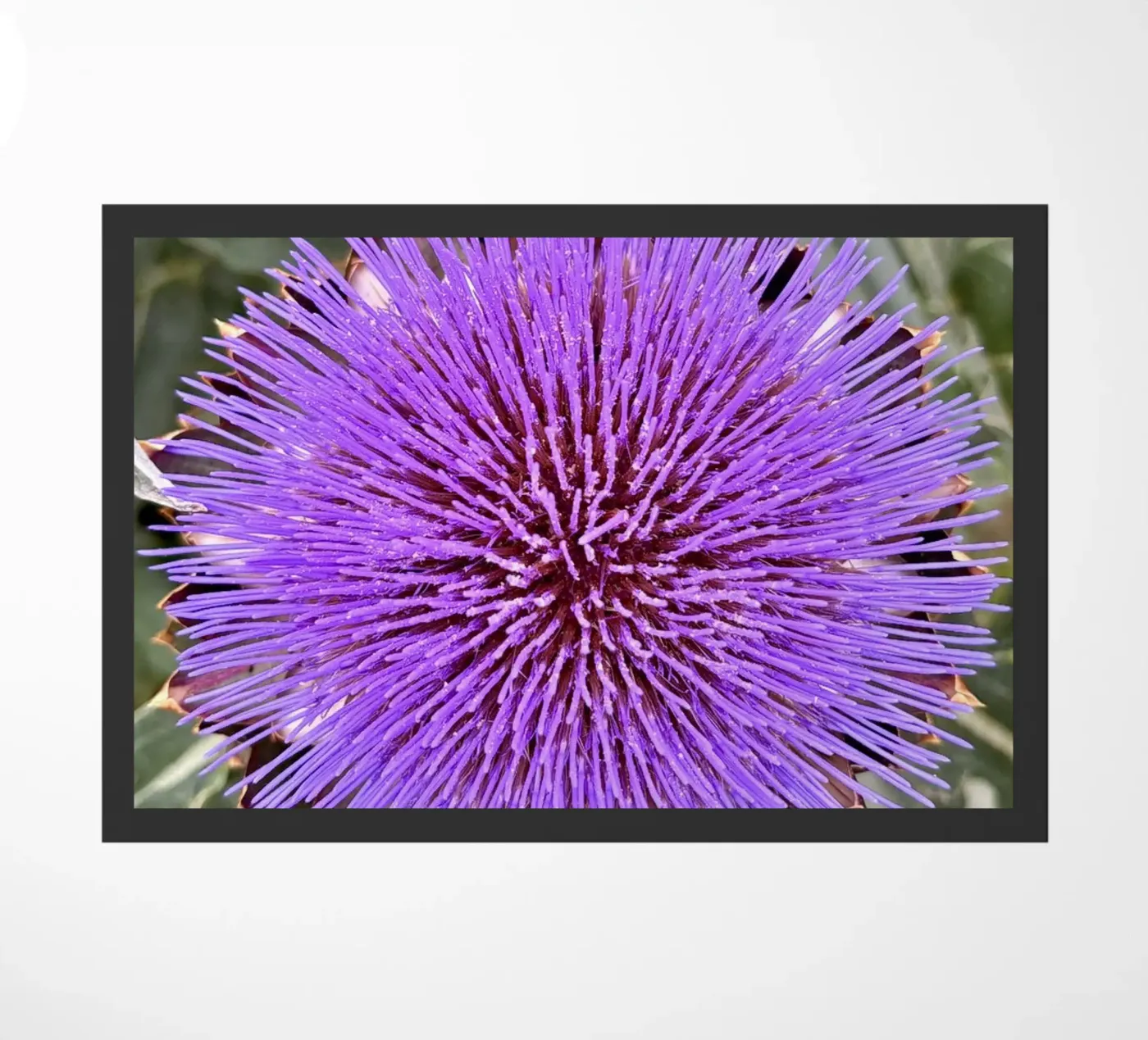 Flower zerbino da Estelle Création