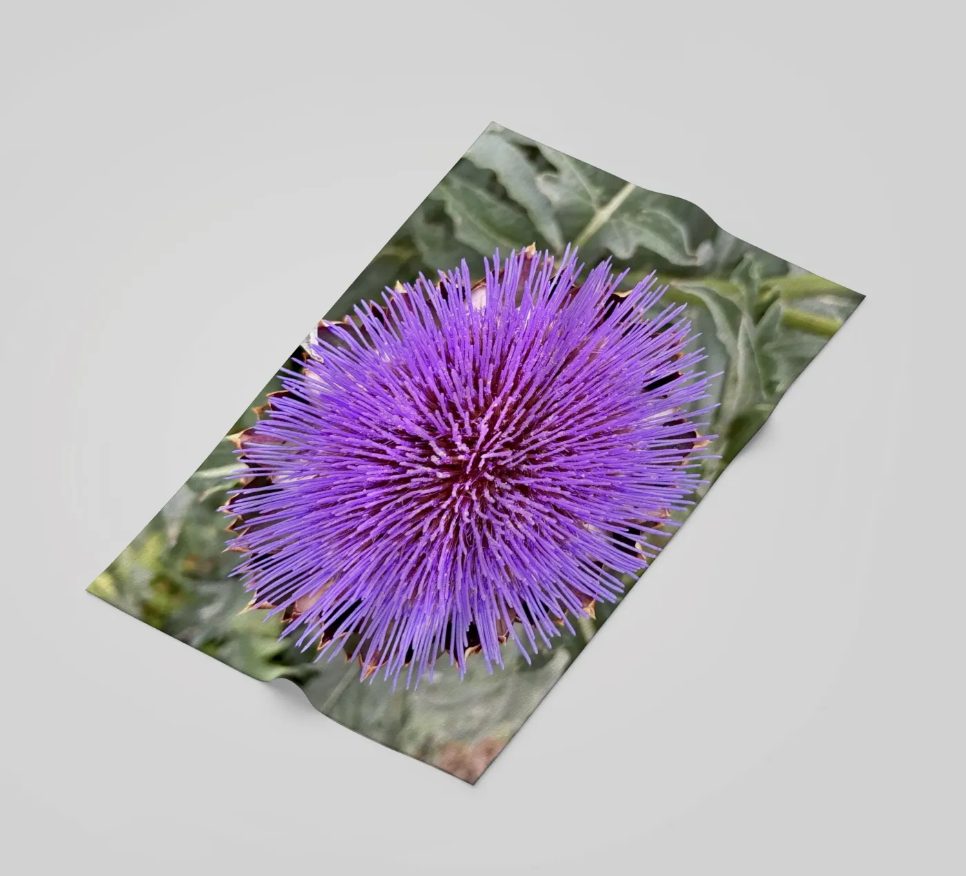 Blume Strandtuch von Estelle Création