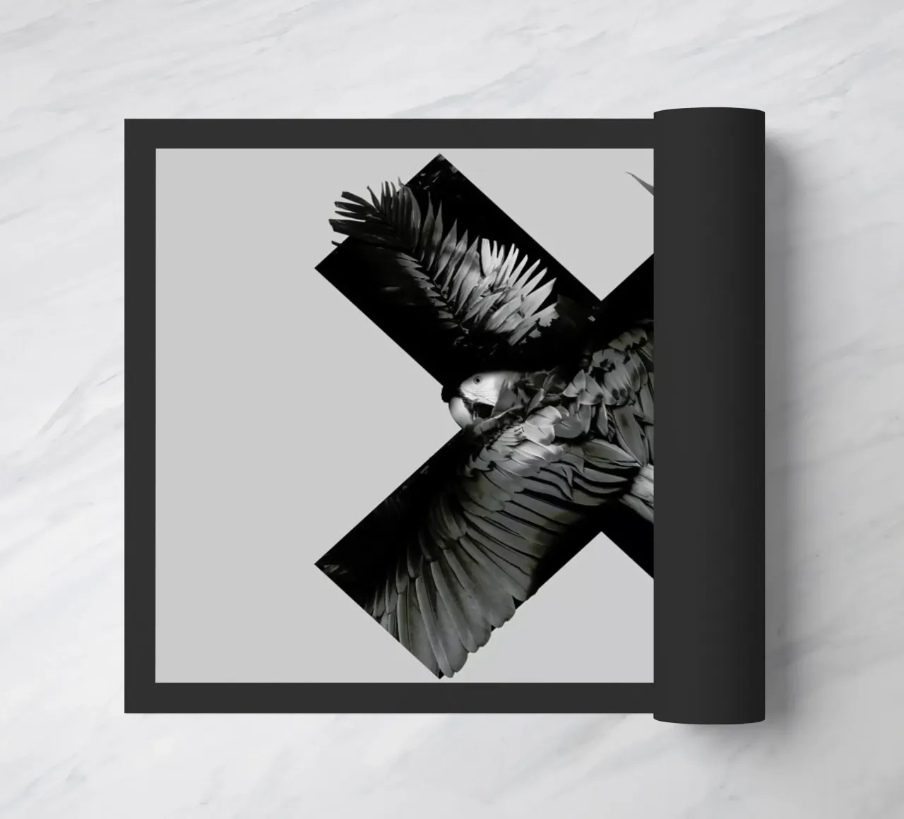 Xotic zerbino da Chris Wharton