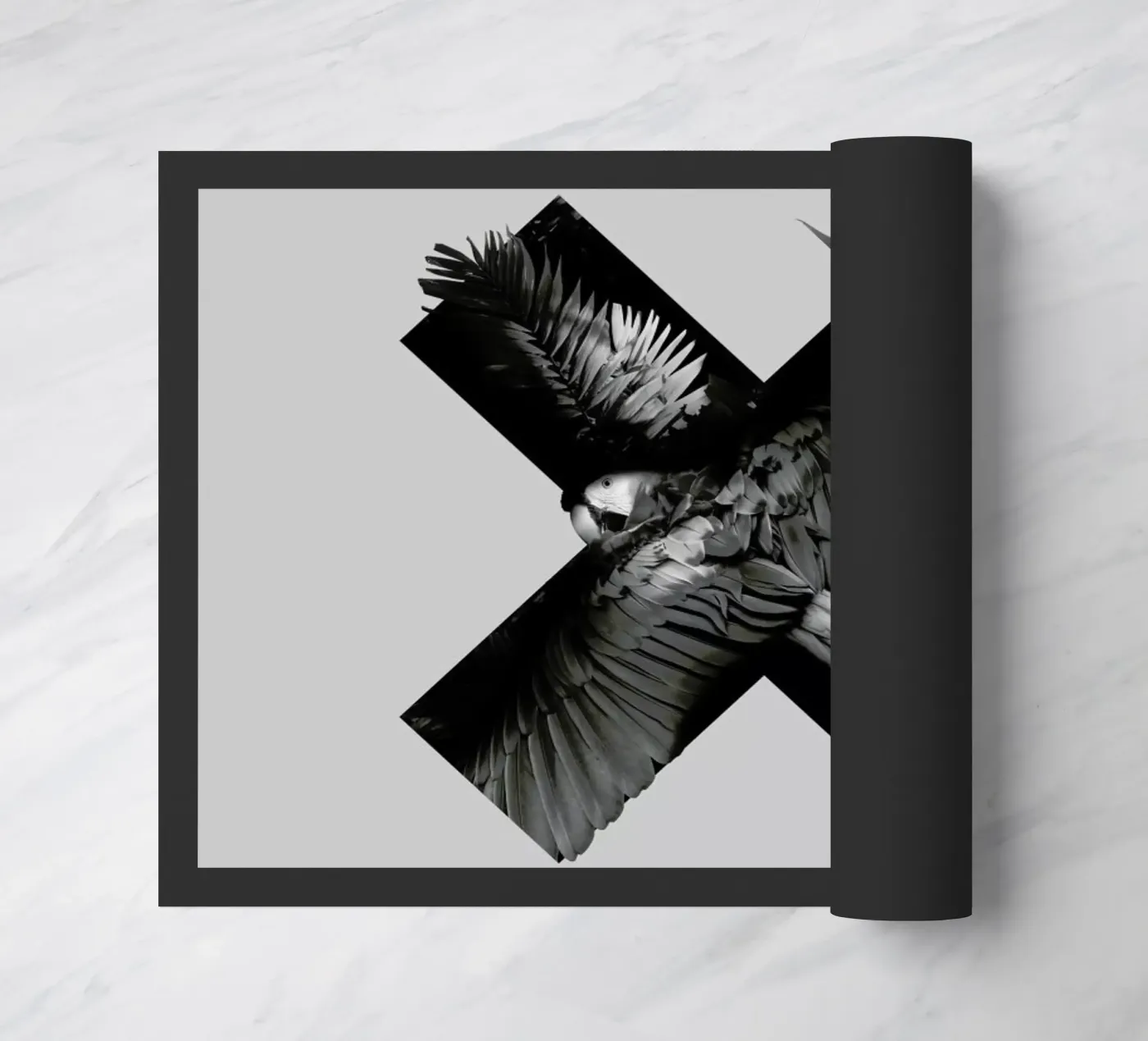 Xotic zerbino da Chris Wharton