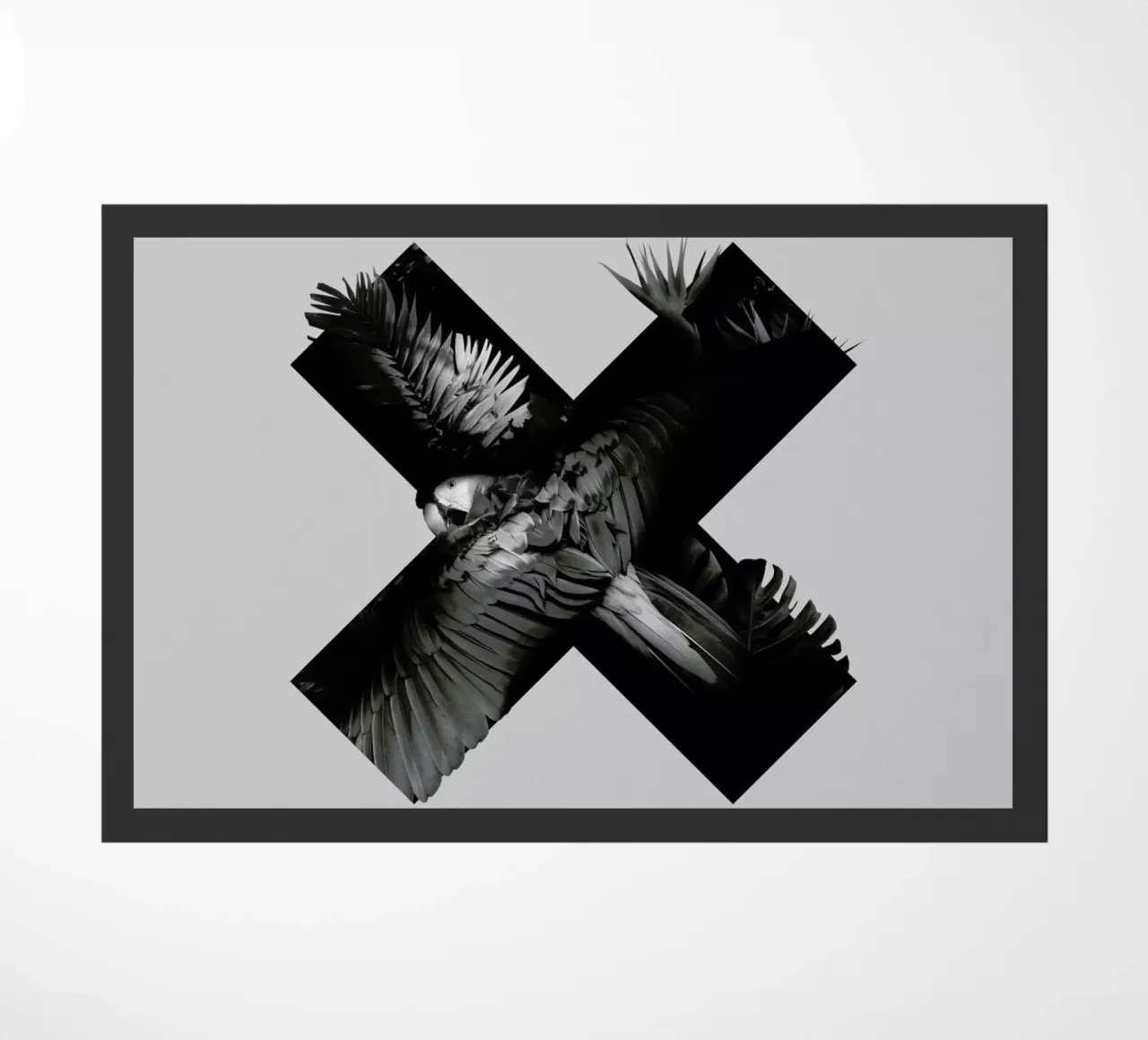 Xotic zerbino da Chris Wharton