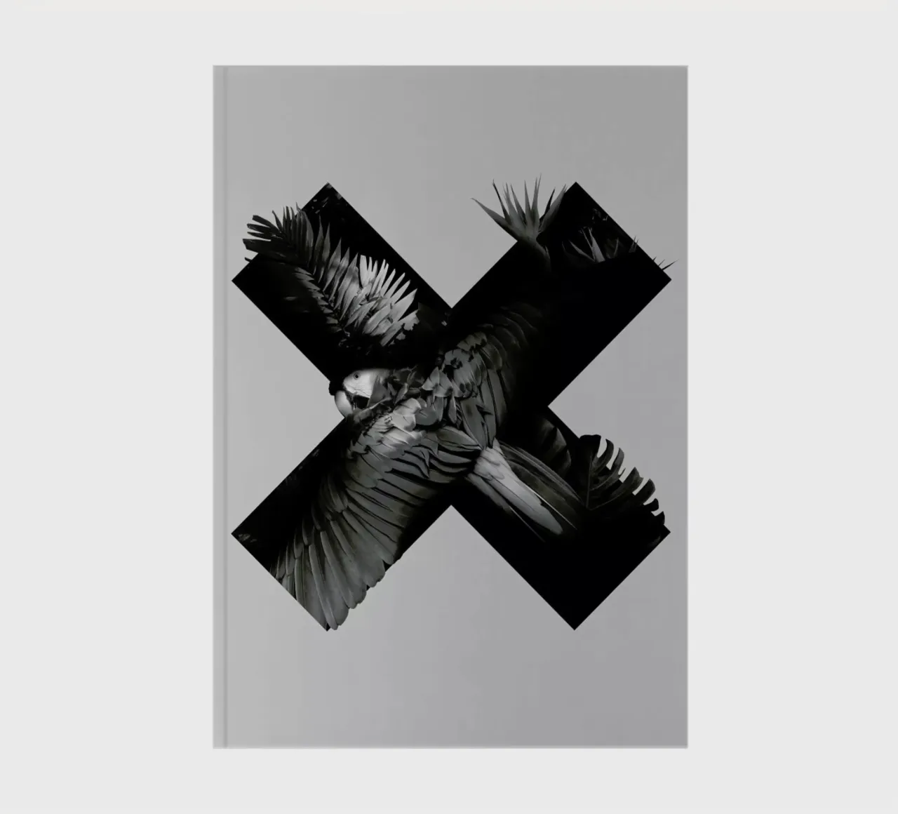Xotic notebook by Chris Wharton