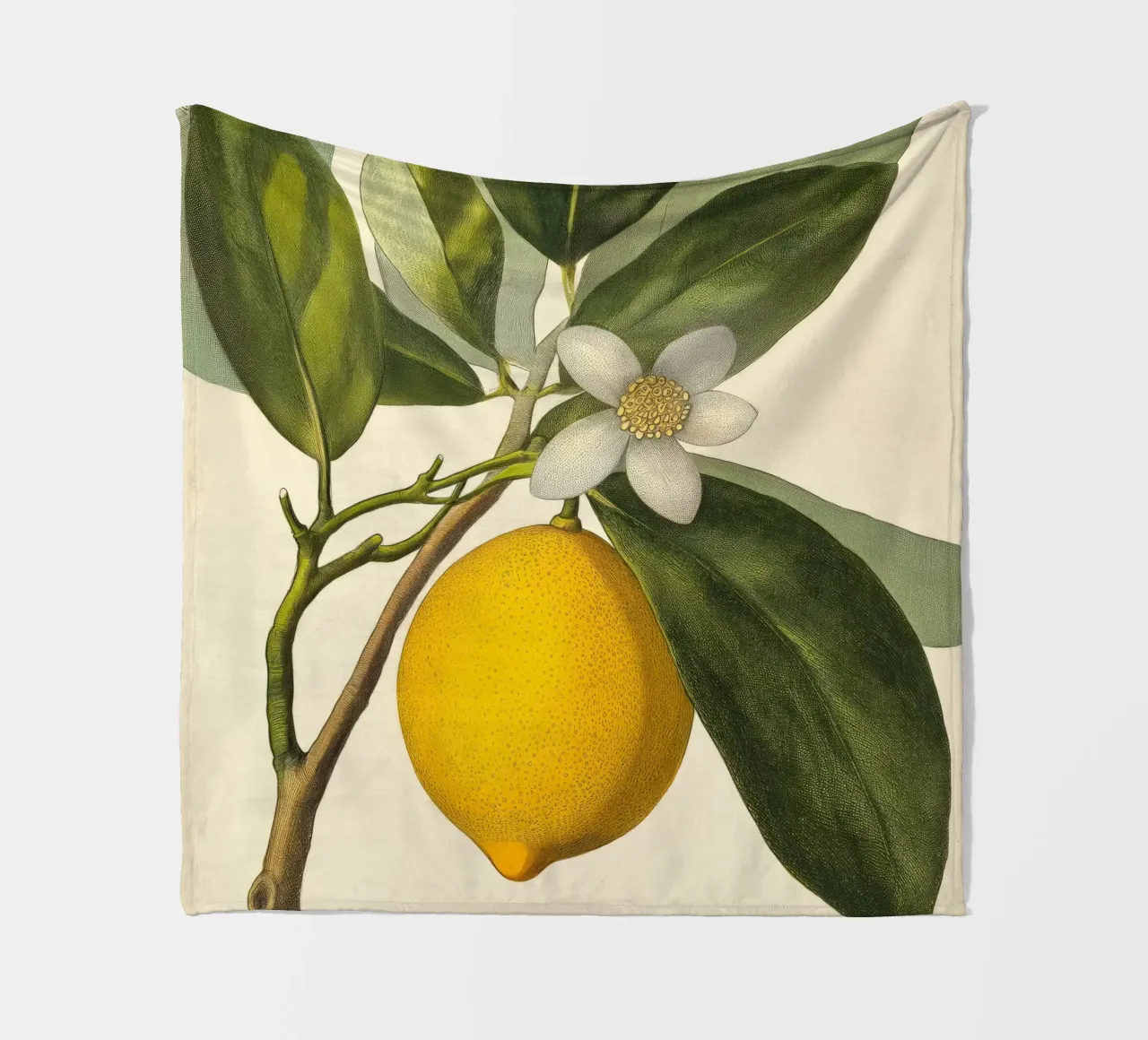 Limone e fiori Retro Vintage Botanico Boho Frutta Tropicale coperta in pile da Gentle Echoes Art