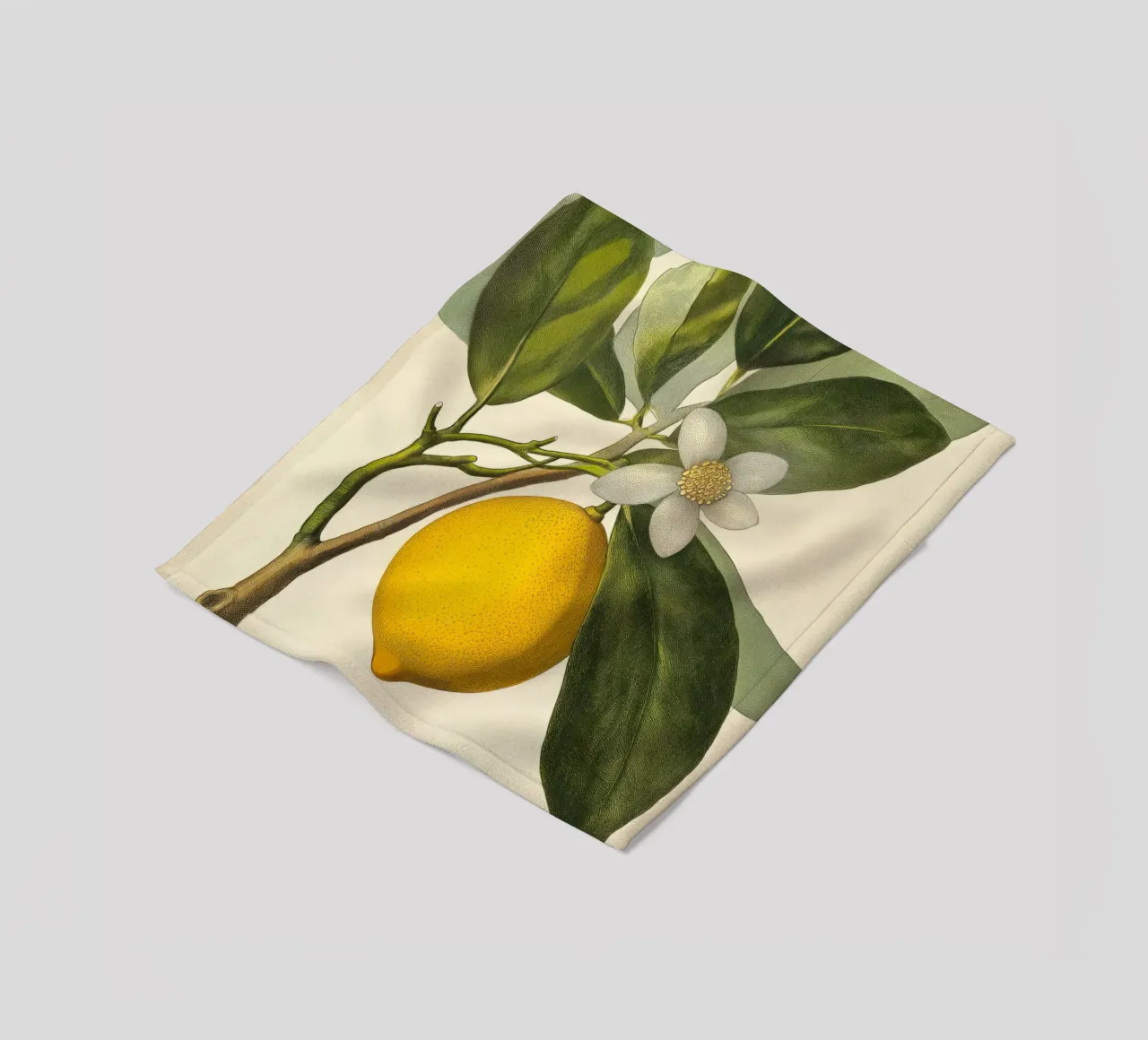 Limone e fiori Retro Vintage Botanico Boho Frutta Tropicale coperta in pile da Gentle Echoes Art