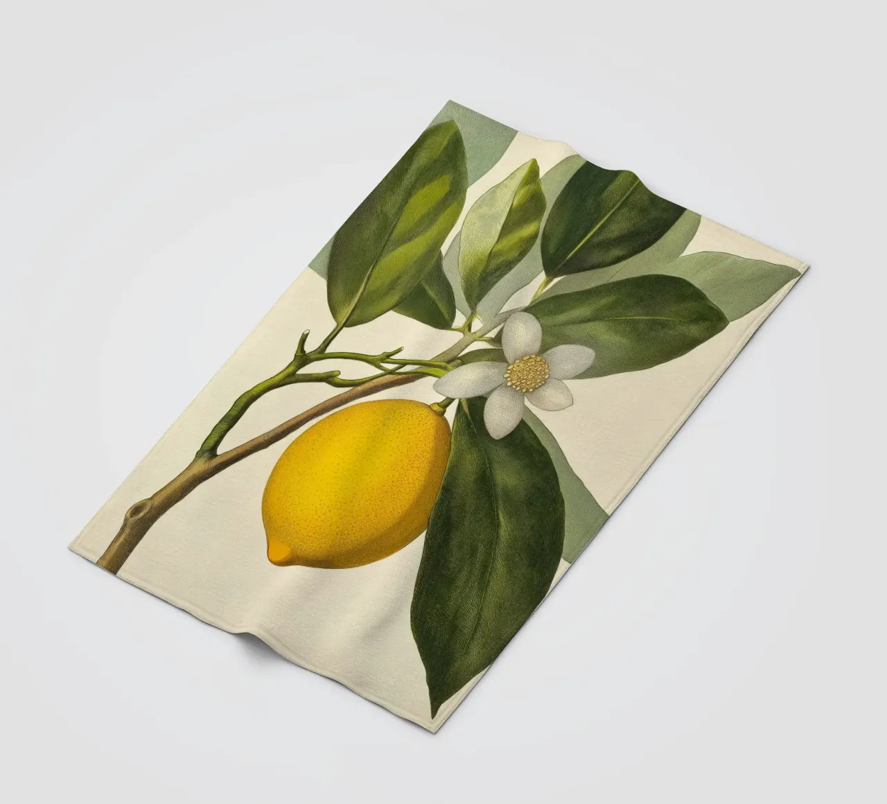 Limone e fiori Retro Vintage Botanico Boho Frutta Tropicale coperta in pile da Gentle Echoes Art