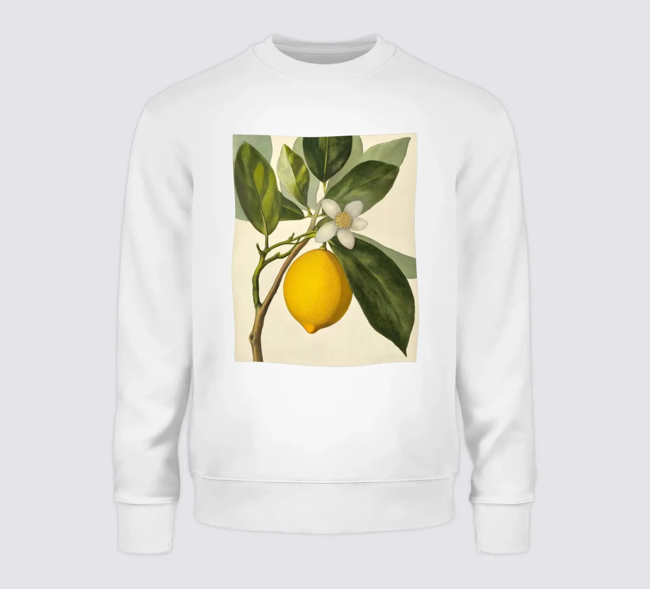 Limone e fiori Retro Vintage Botanico Boho Frutta Tropicale felpa da Gentle Echoes Art