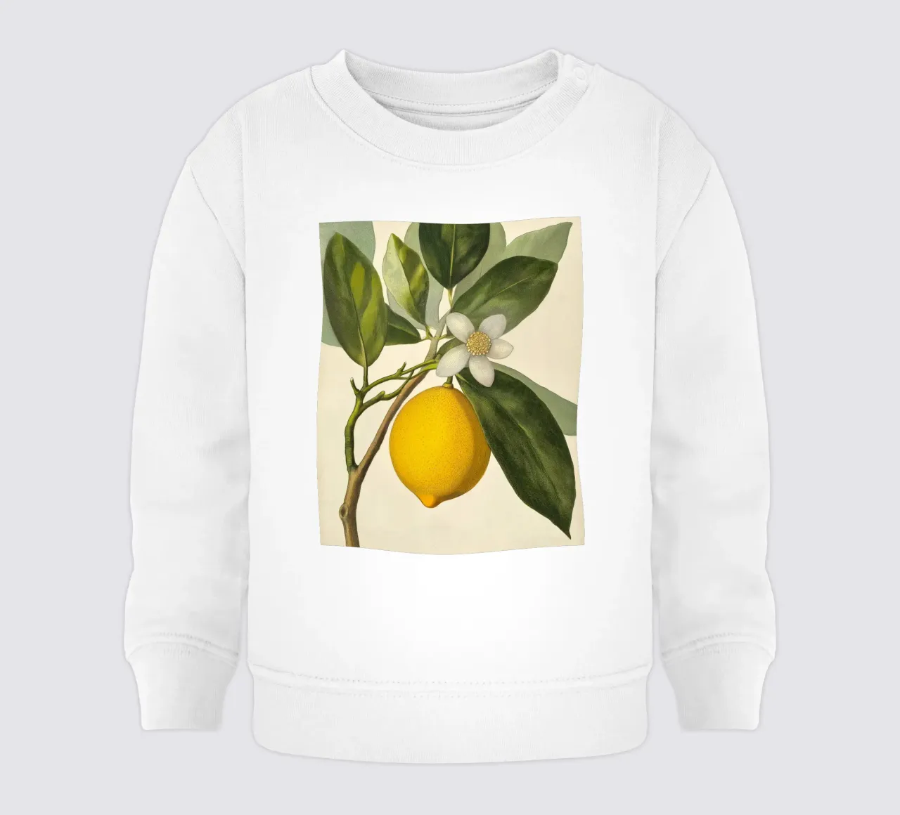 Limone e fiori Retro Vintage Botanico Boho Frutta Tropicale felpa neonato da Gentle Echoes Art