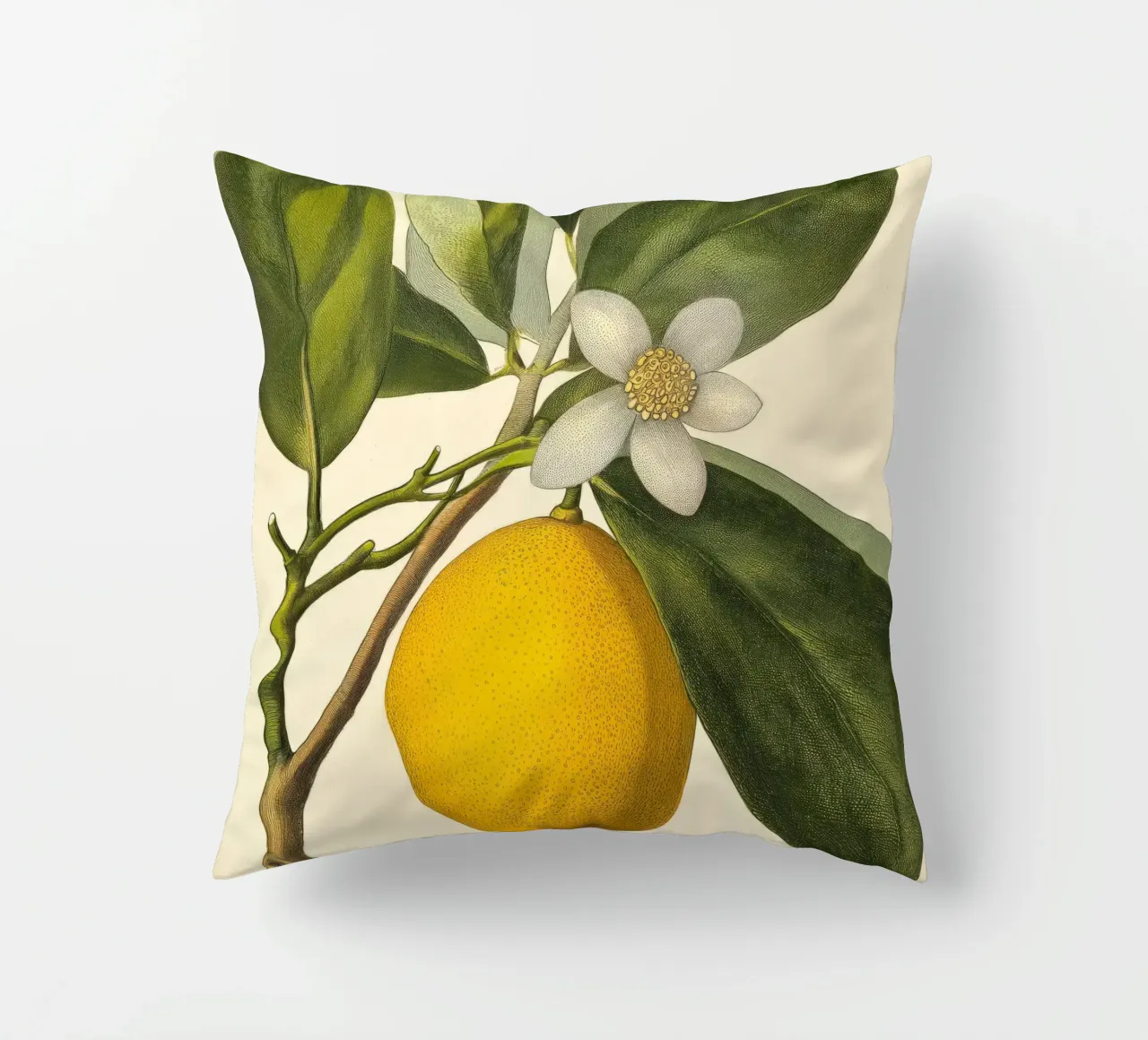 Limone e fiori Retro Vintage Botanico Boho Frutta Tropicale cuscino da Gentle Echoes Art