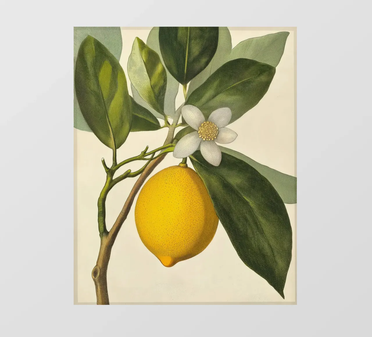 Lemon and Flower Retro Vintage Botanical Boho Tropical Fruit photo wallpaper by Gentle Echoes Art