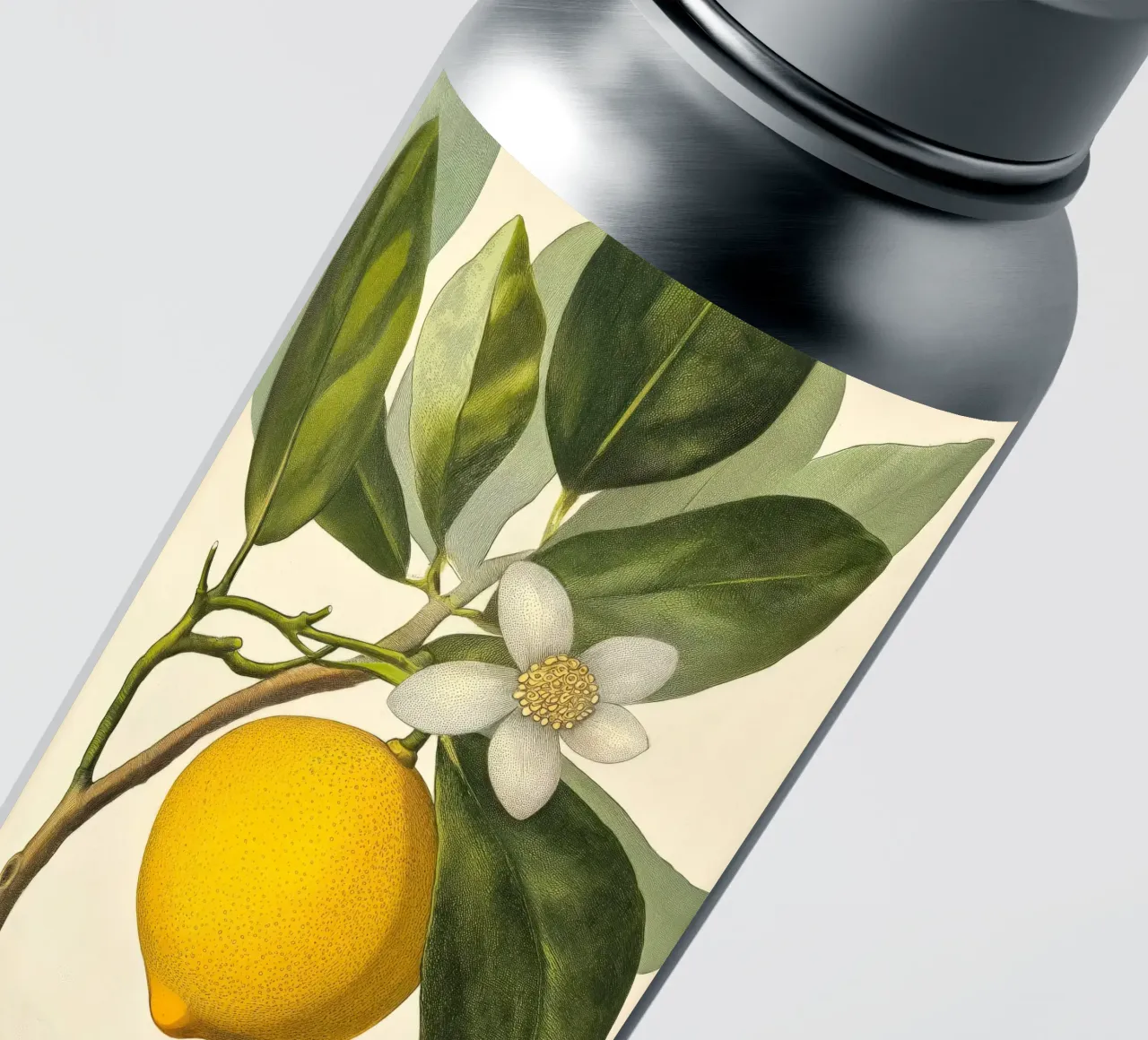 Limone e fiori Retro Vintage Botanico Boho Frutta Tropicale adesivo da Gentle Echoes Art