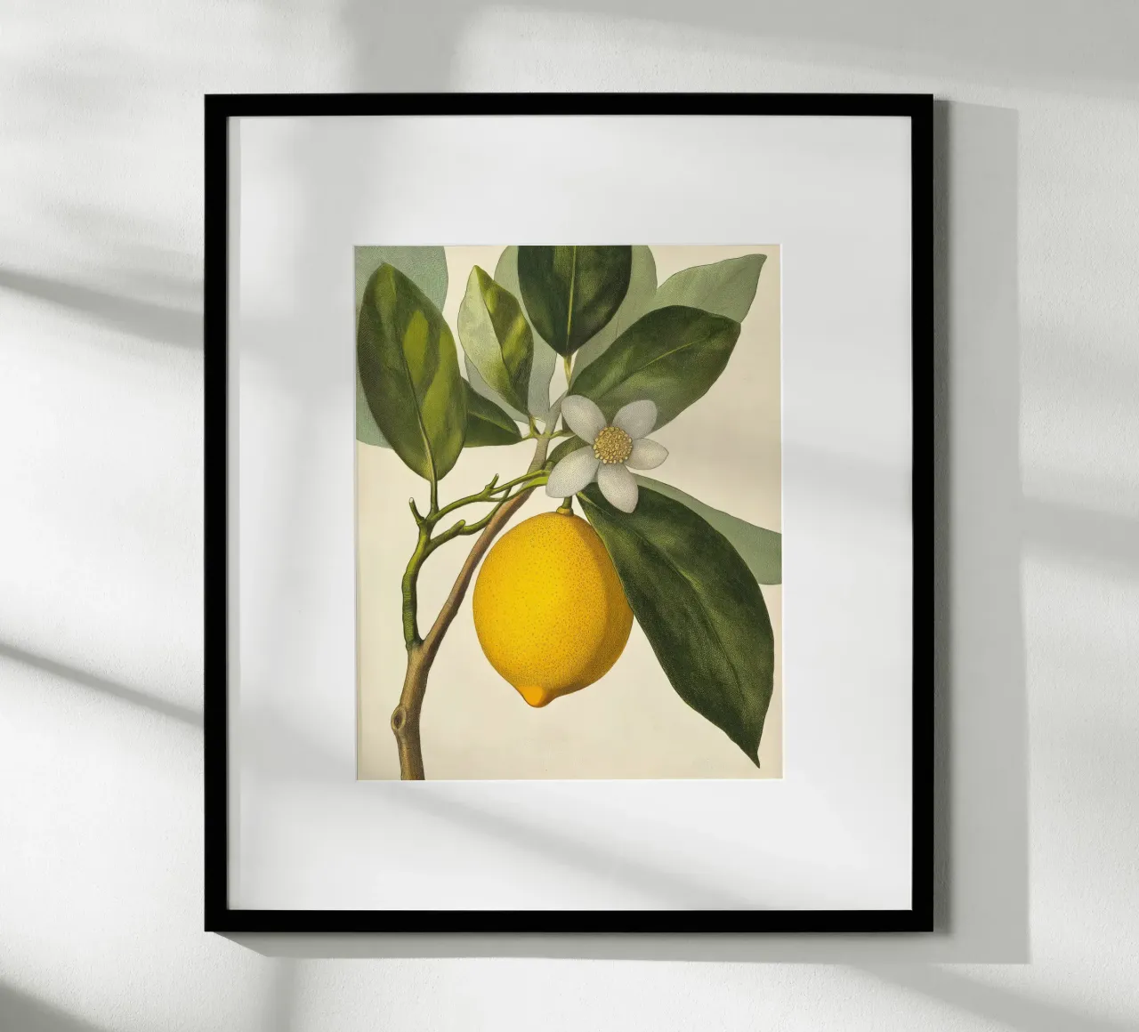 Limone e fiori Retro Vintage Botanico Boho Frutta Tropicale carta hahnemühle da Gentle Echoes Art