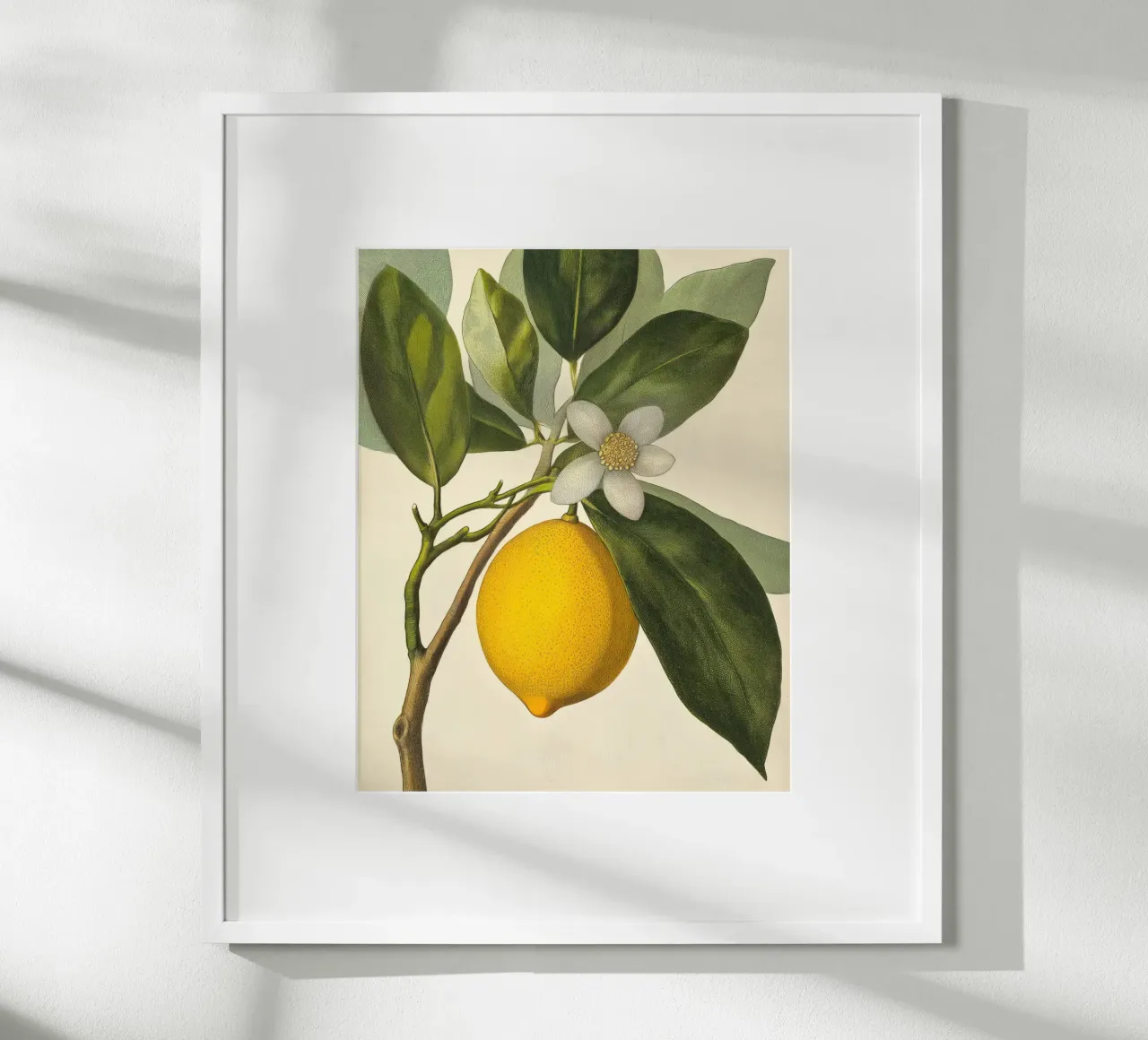 Limone e fiori Retro Vintage Botanico Boho Frutta Tropicale carta hahnemühle da Gentle Echoes Art