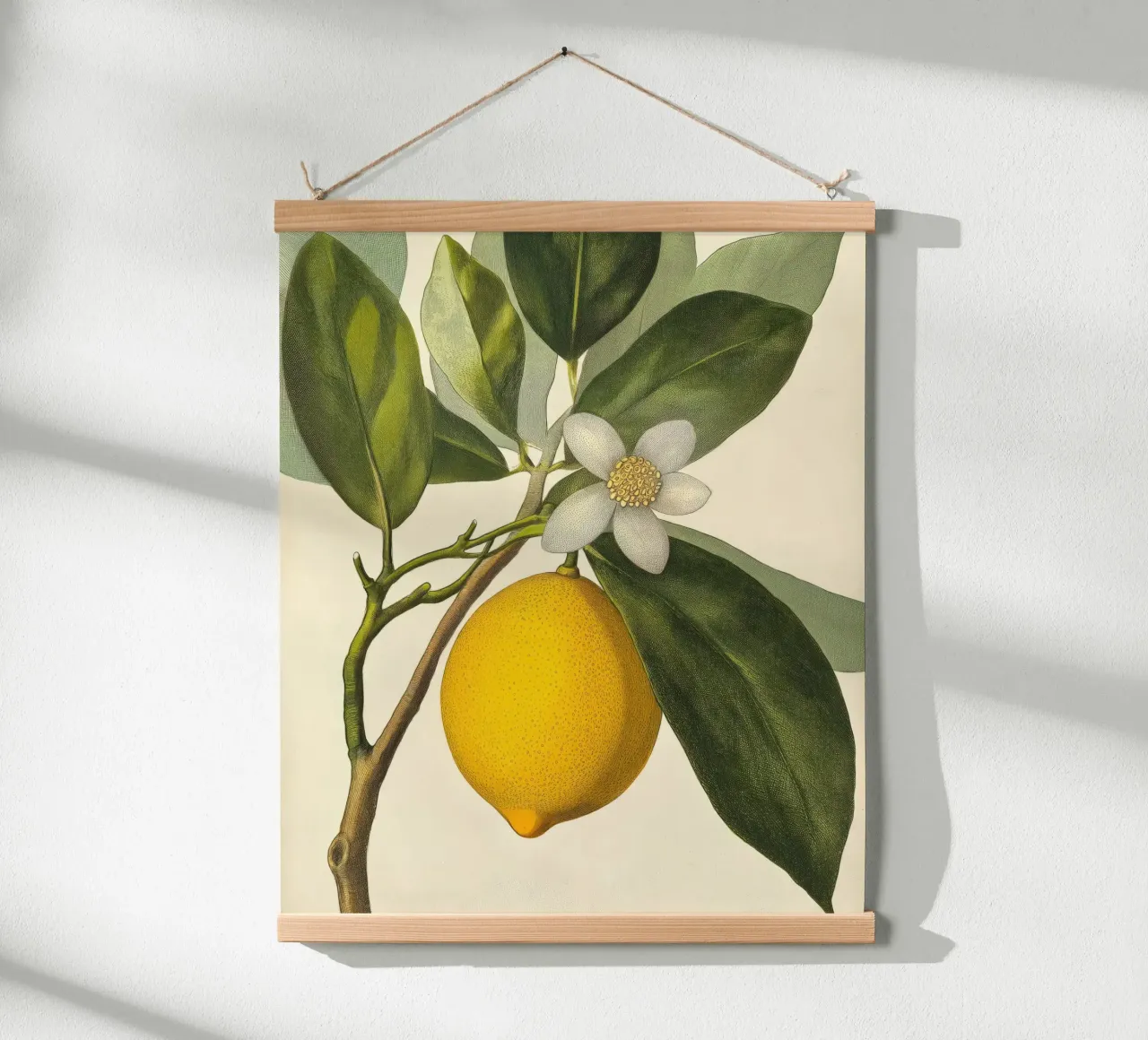 Limone e fiori Retro Vintage Botanico Boho Frutta Tropicale carta hahnemühle da Gentle Echoes Art