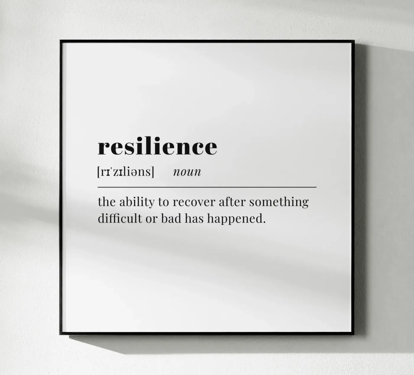 resilience plexiglass da pilotpegasus