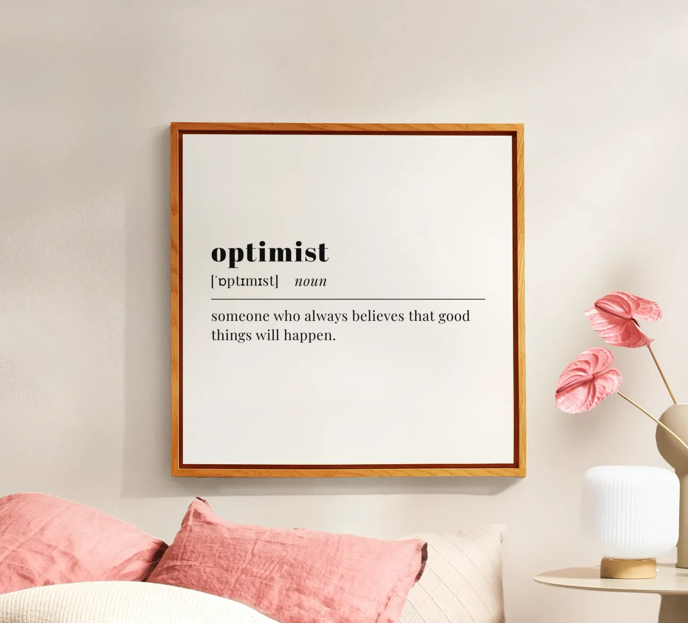 optimist plexiglas de pilotpegasus