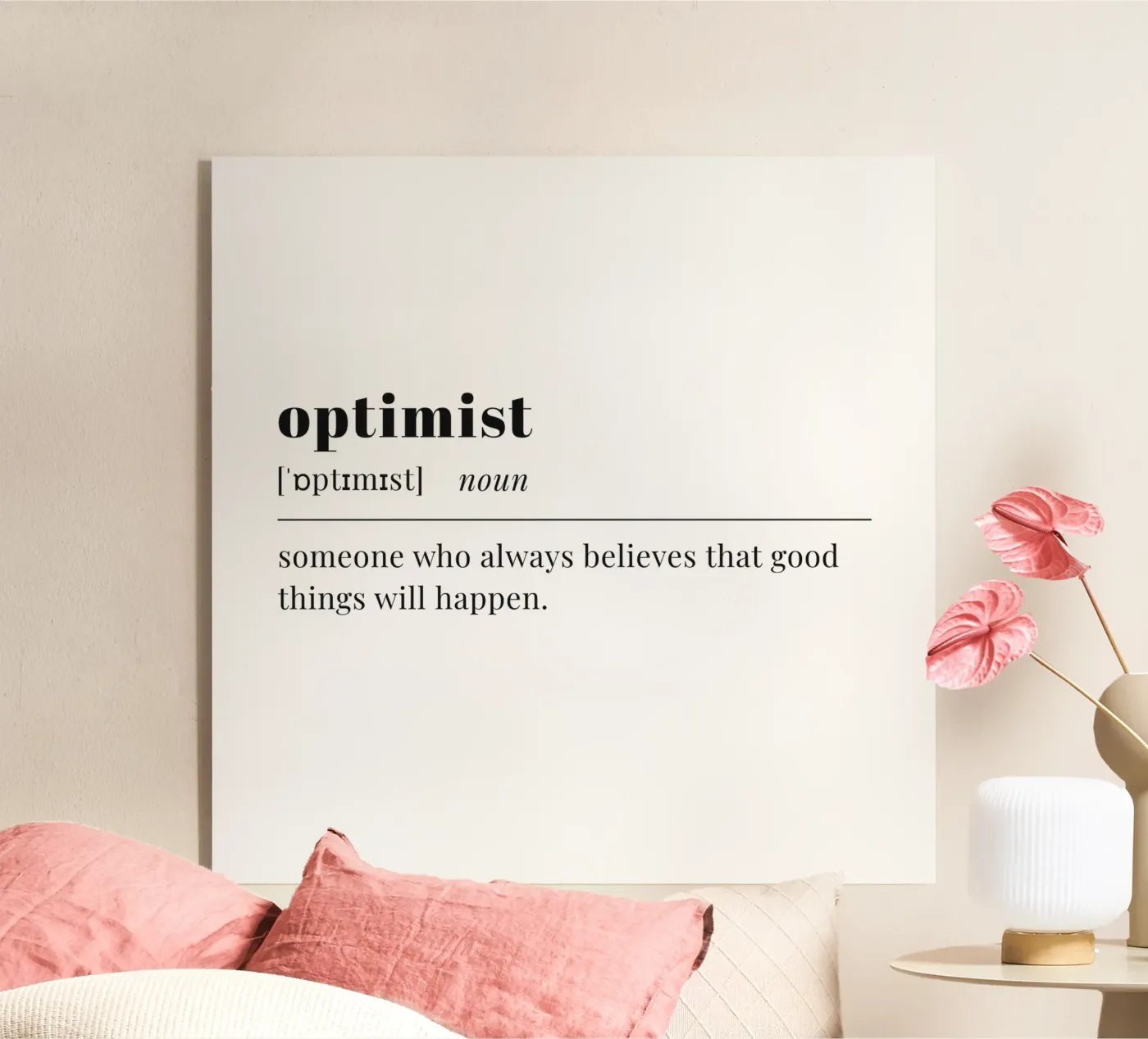 optimist plexiglas de pilotpegasus