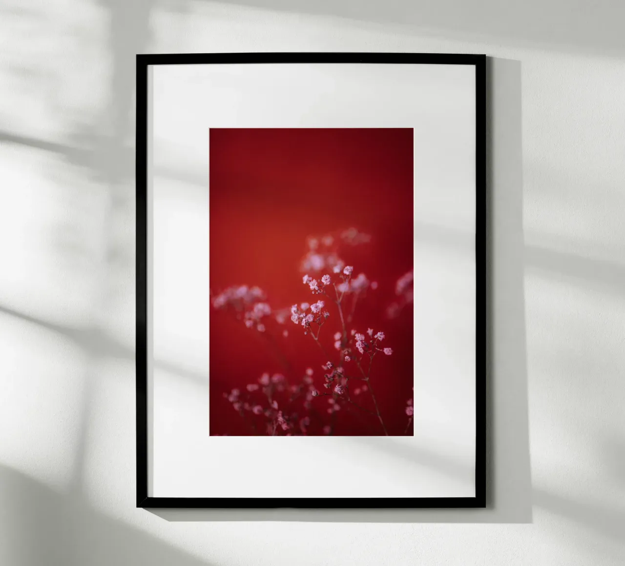 Pink Gypsophila Pt. III hahnemühle by selfieswithlove