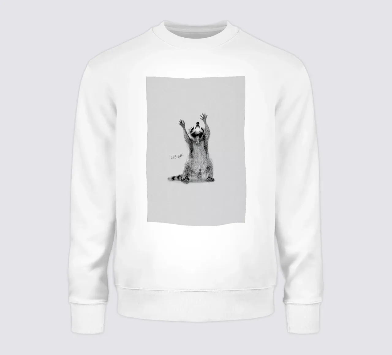 Racoon felpa da Doozal
