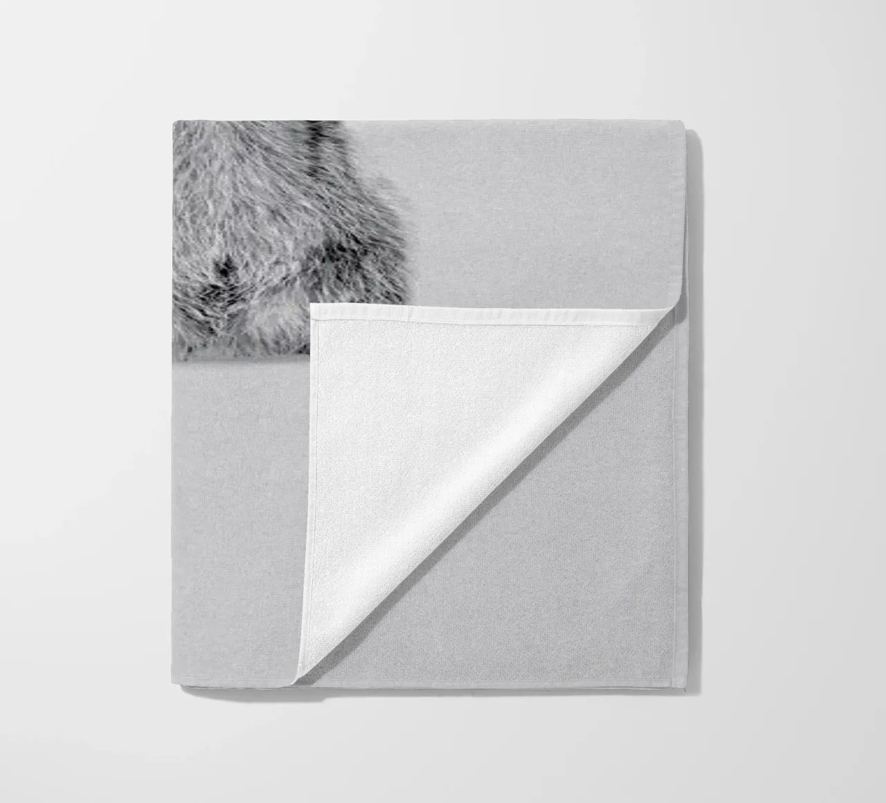 Racoon telo mare da Doozal