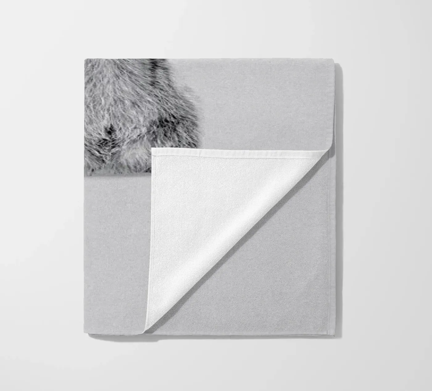 Racoon telo mare da Doozal