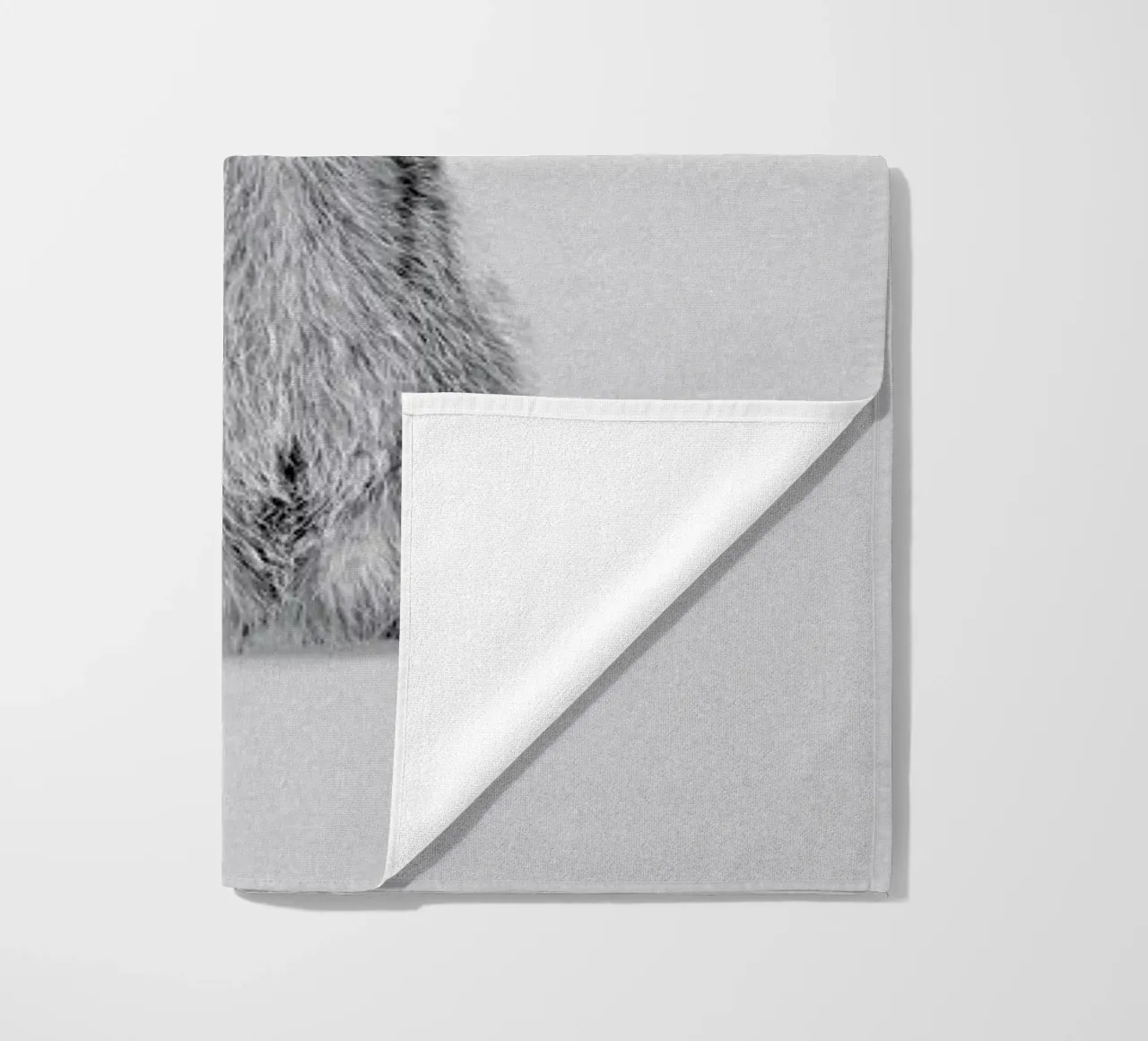 Racoon telo mare da Doozal