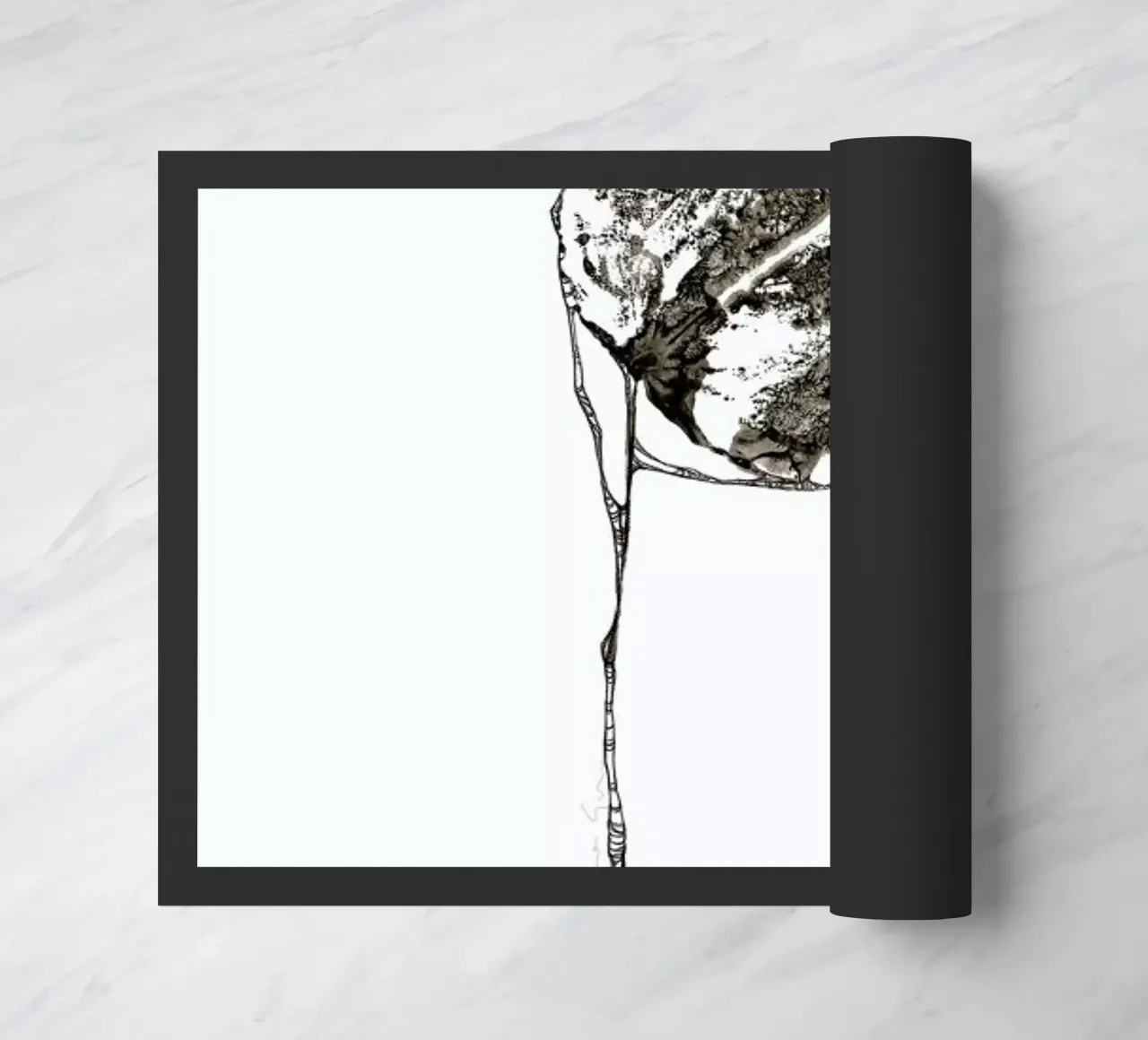 P zerbino da Marina Guiu